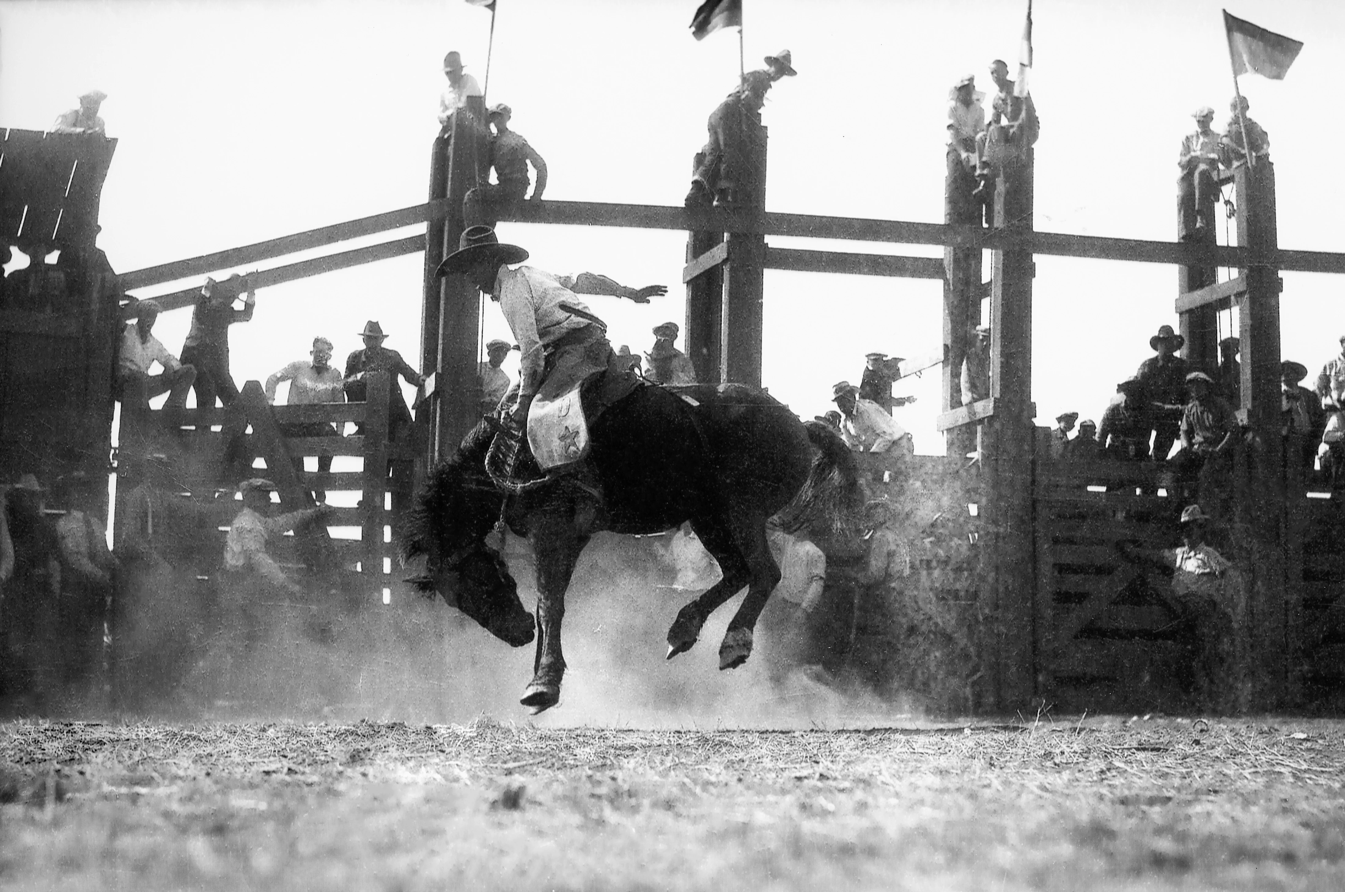 100 Years of Lake County Round-Up: Eight Seconds of Heaven and Hell - Image 9