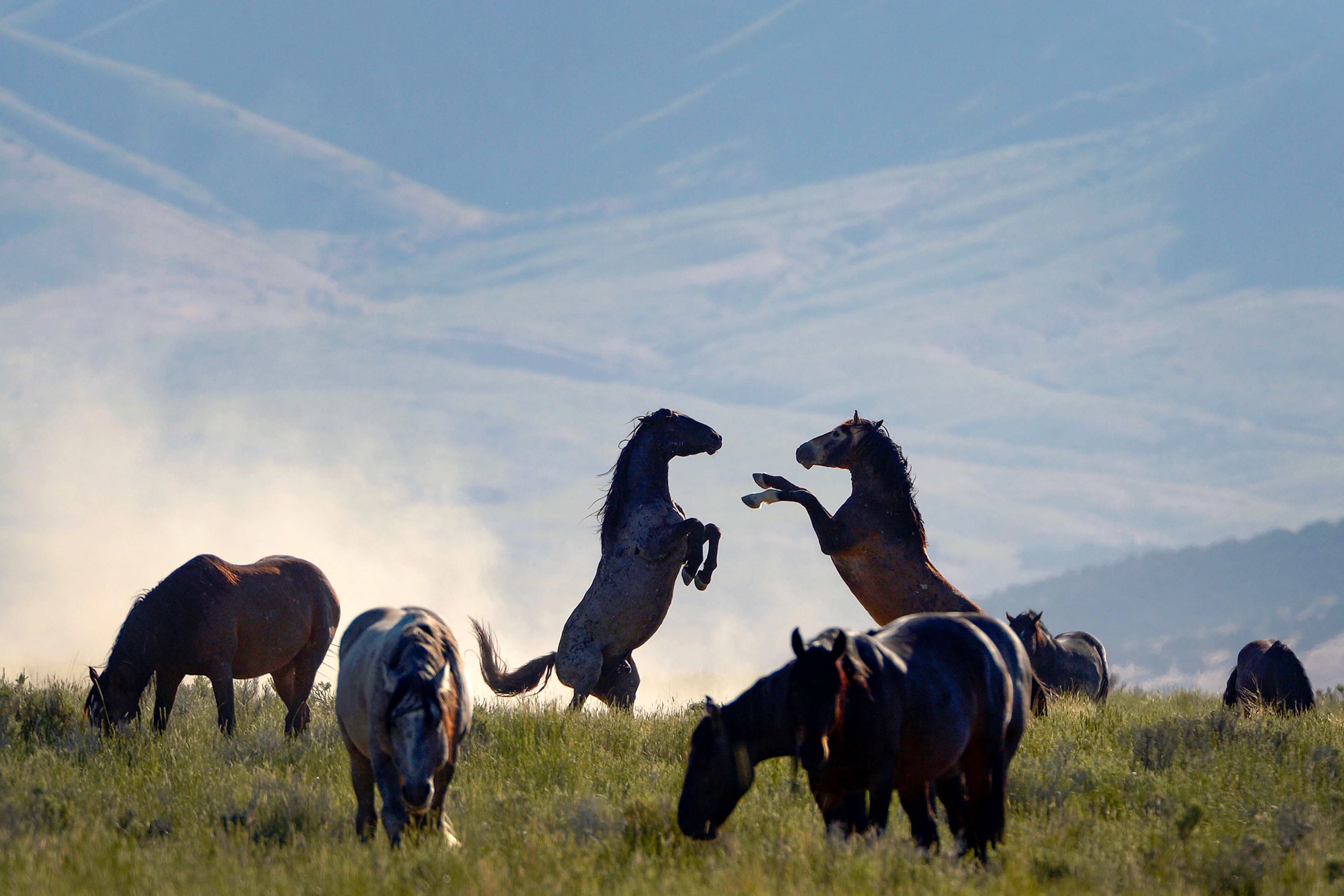 Utah's Story: 150 Years of Photography from The Salt Lake Tribune - Image 13
