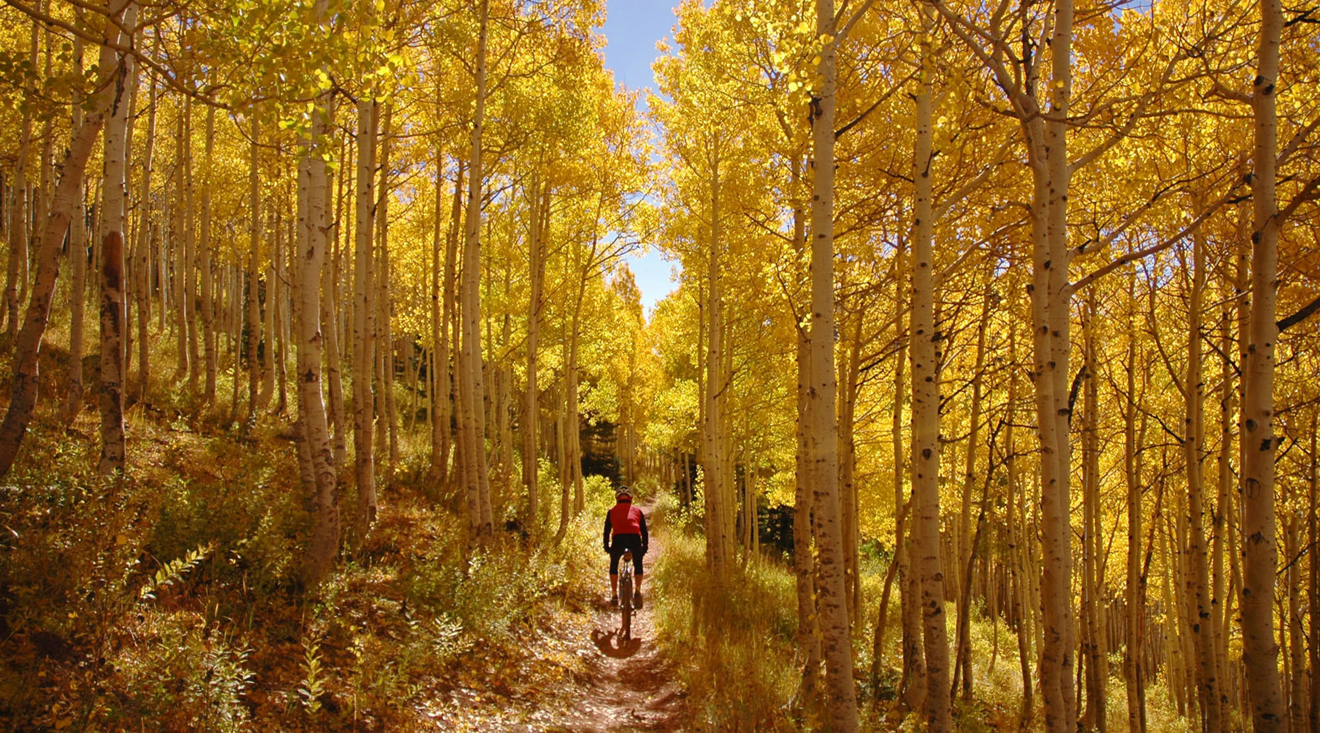 Utah's Story: 150 Years of Photography from The Salt Lake Tribune - Image 4