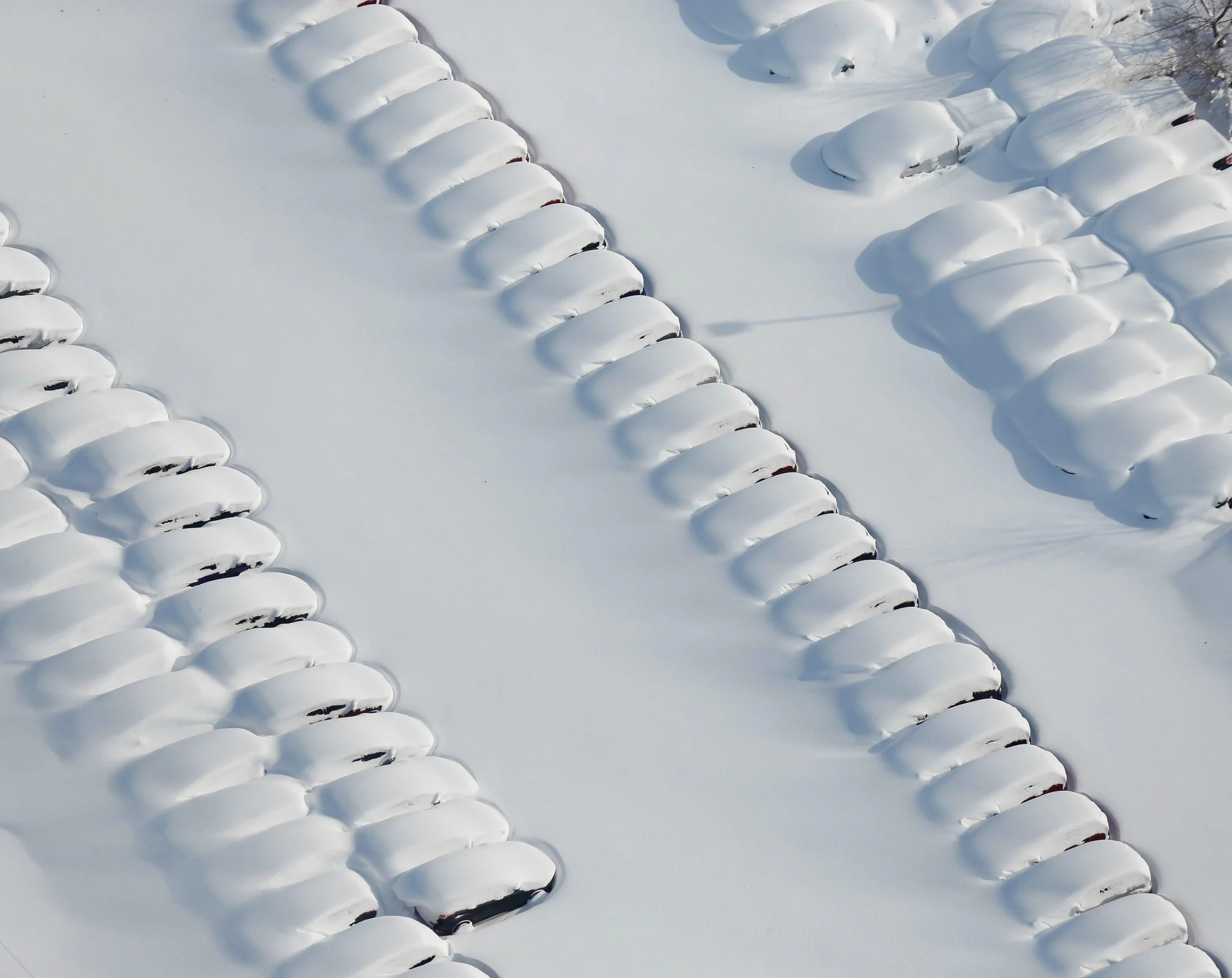 Wall of Snow: The Historic WNY Snowstorm of 2014 - Image 11