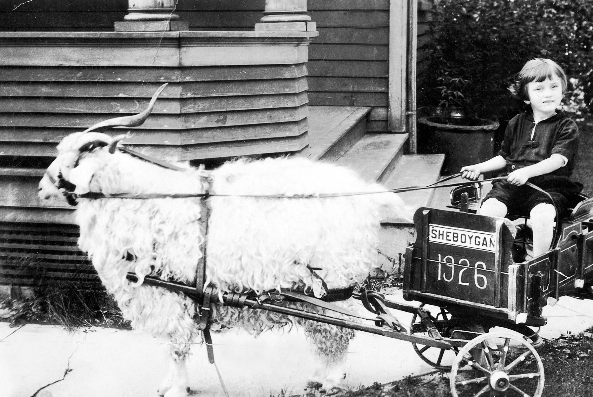 A Look at Sheboygan County: 100 Years of History: &nbsp; - Image 3