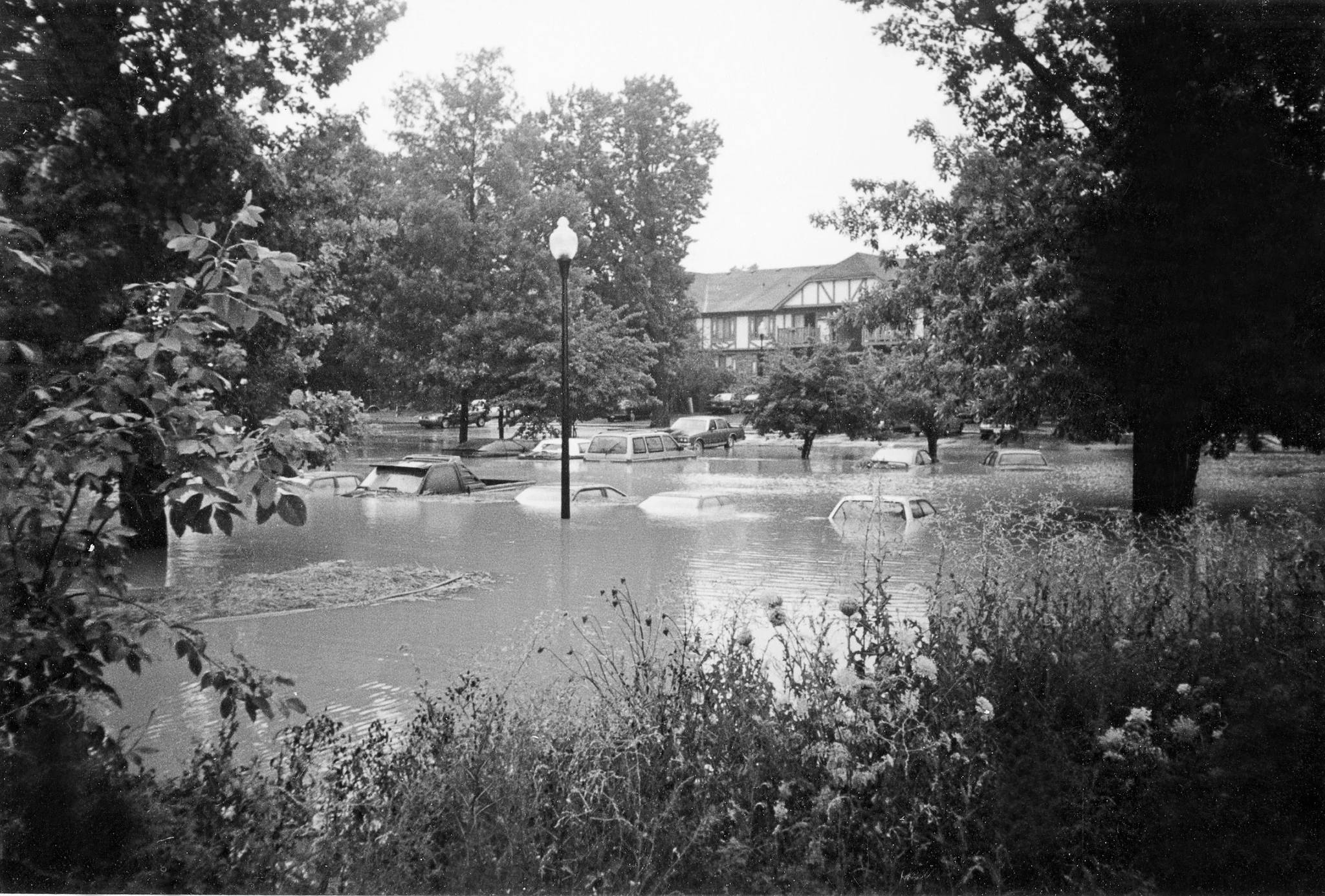 A Look at Sheboygan County: 100 Years of History: &nbsp; - Image 7