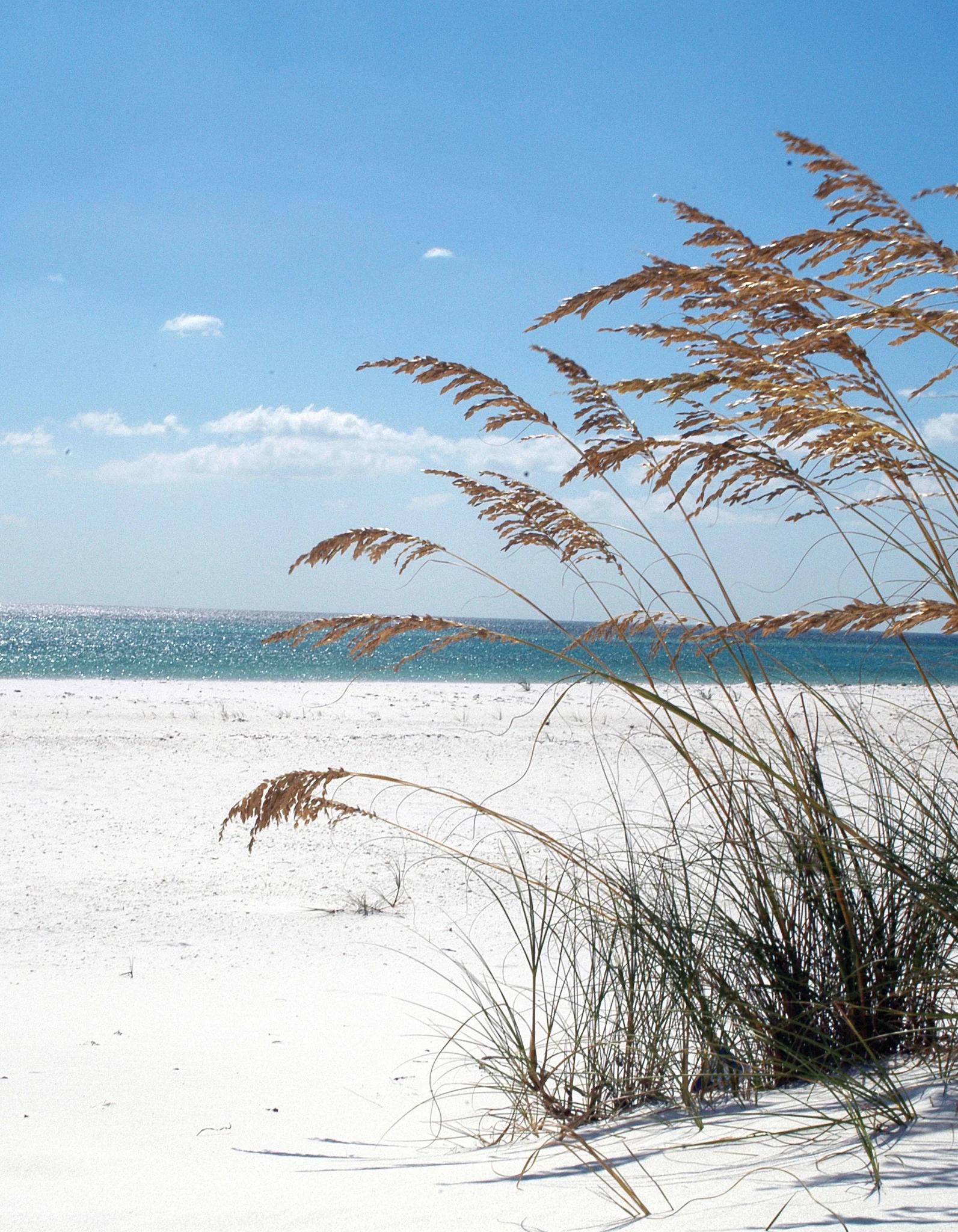 A Roadmap to Resilience: Towards a Healthier Environment, Society, and Economy for Coastal Alabama - Image 11