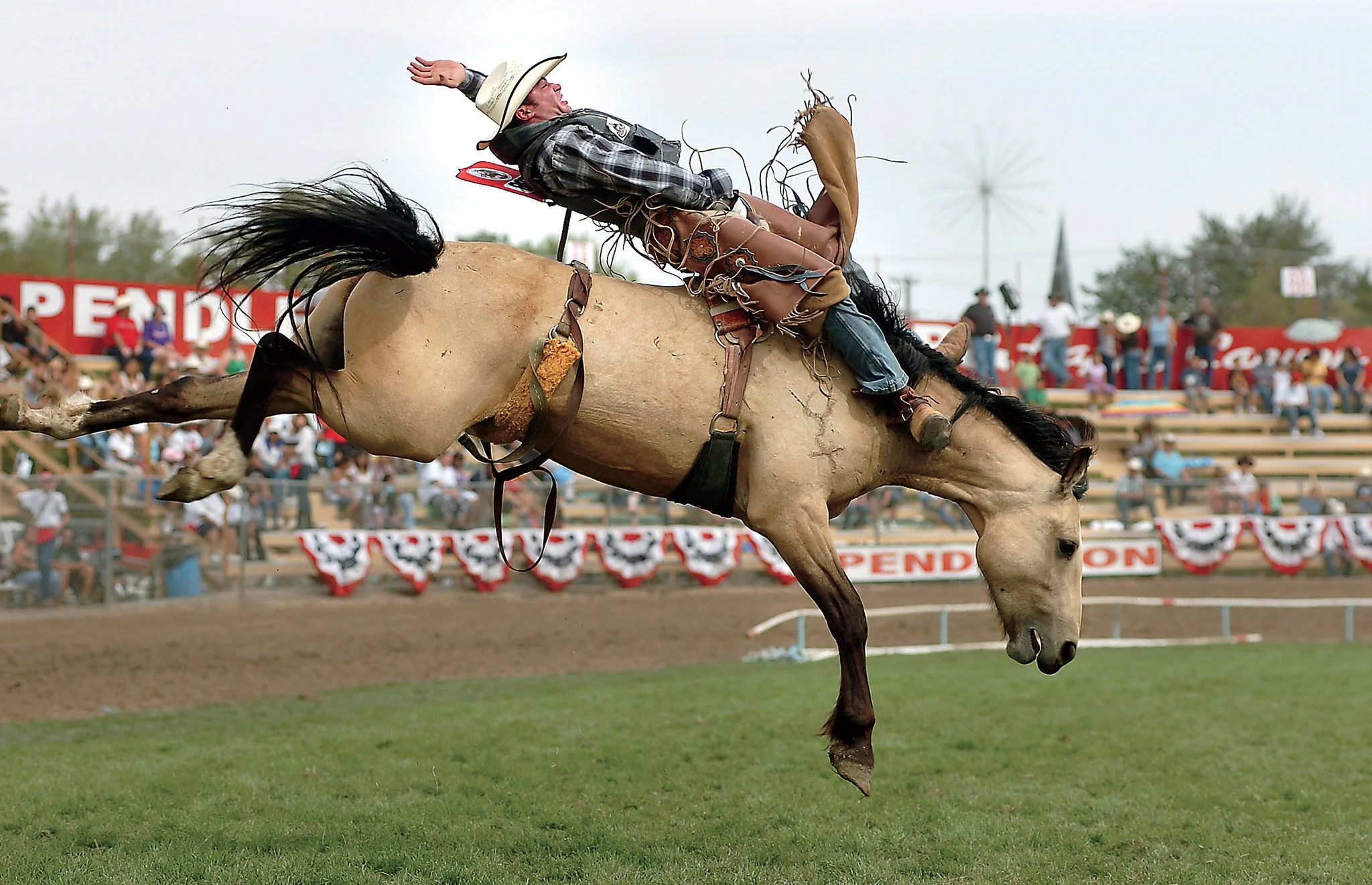 A Rodeo to Remember: The Centennial Pendleton Round-Up in Photos - Image 2