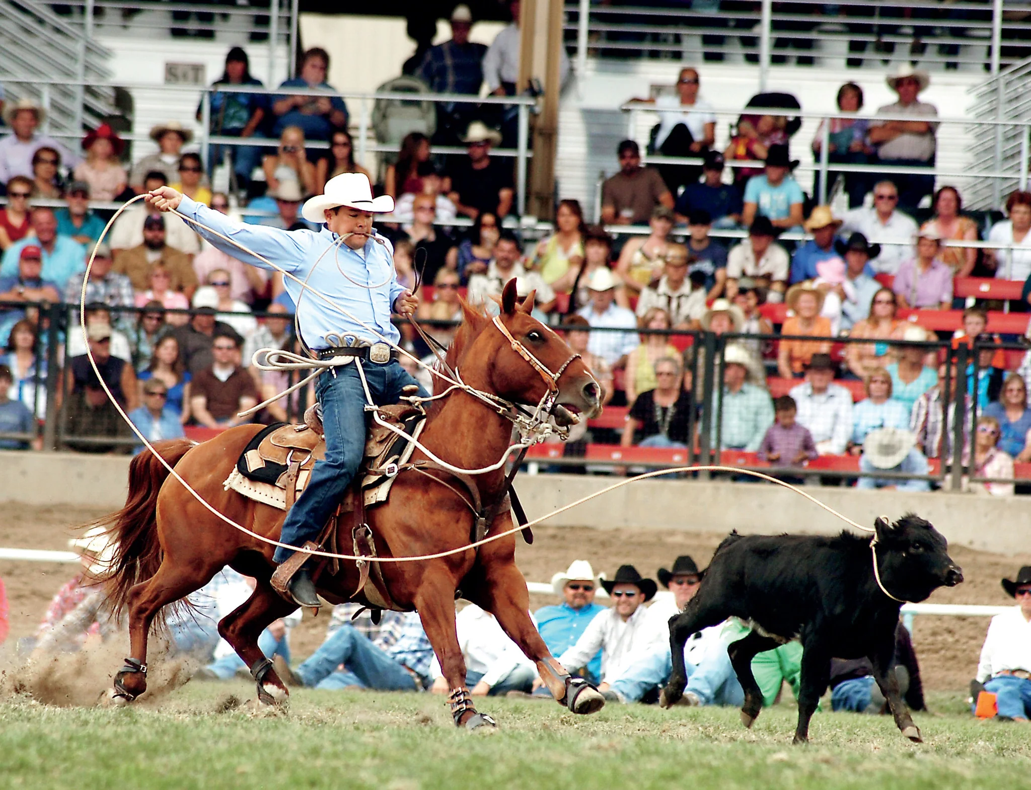 A Rodeo to Remember: The Centennial Pendleton Round-Up in Photos - Image 4