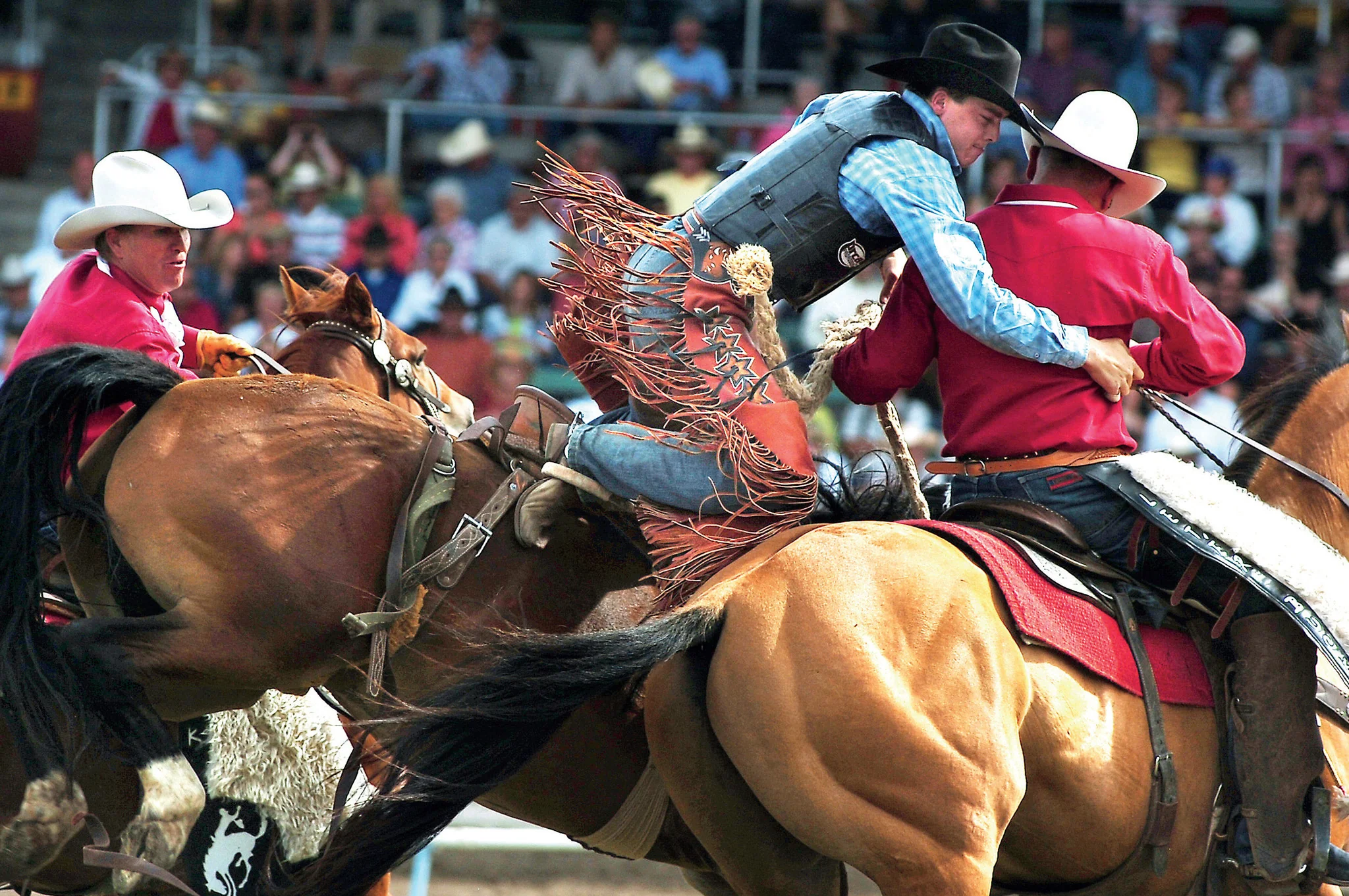 A Rodeo to Remember: The Centennial Pendleton Round-Up in Photos - Image 8