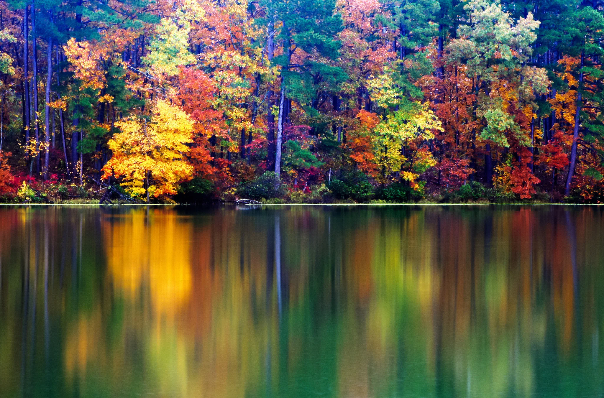 Arkansas in Seasons: A Photographic Journey Through Arkansas - Image 12