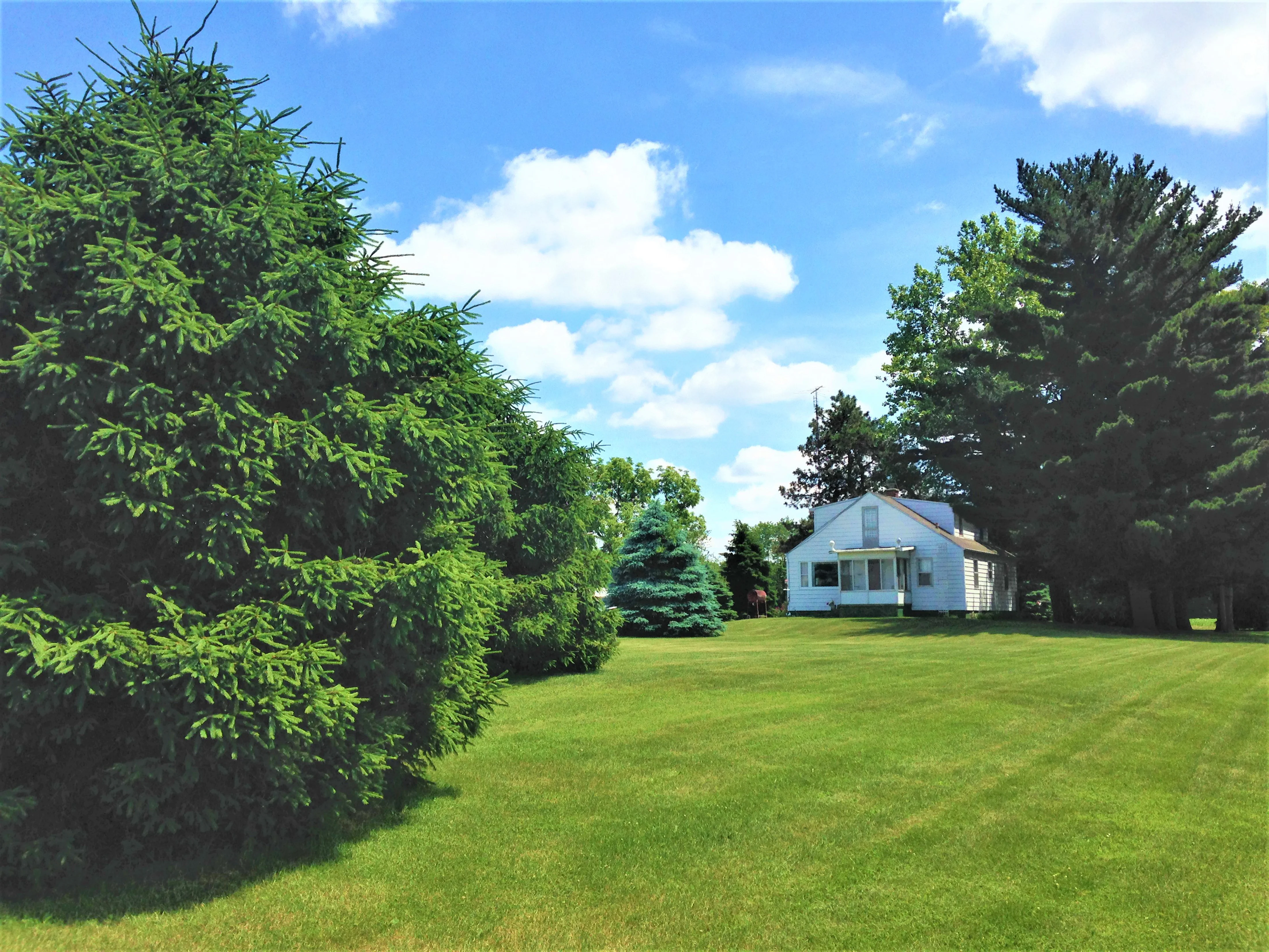 Volume IV: Back From the Farm: Family Recipes and Memories of a Lifetime - Image 11