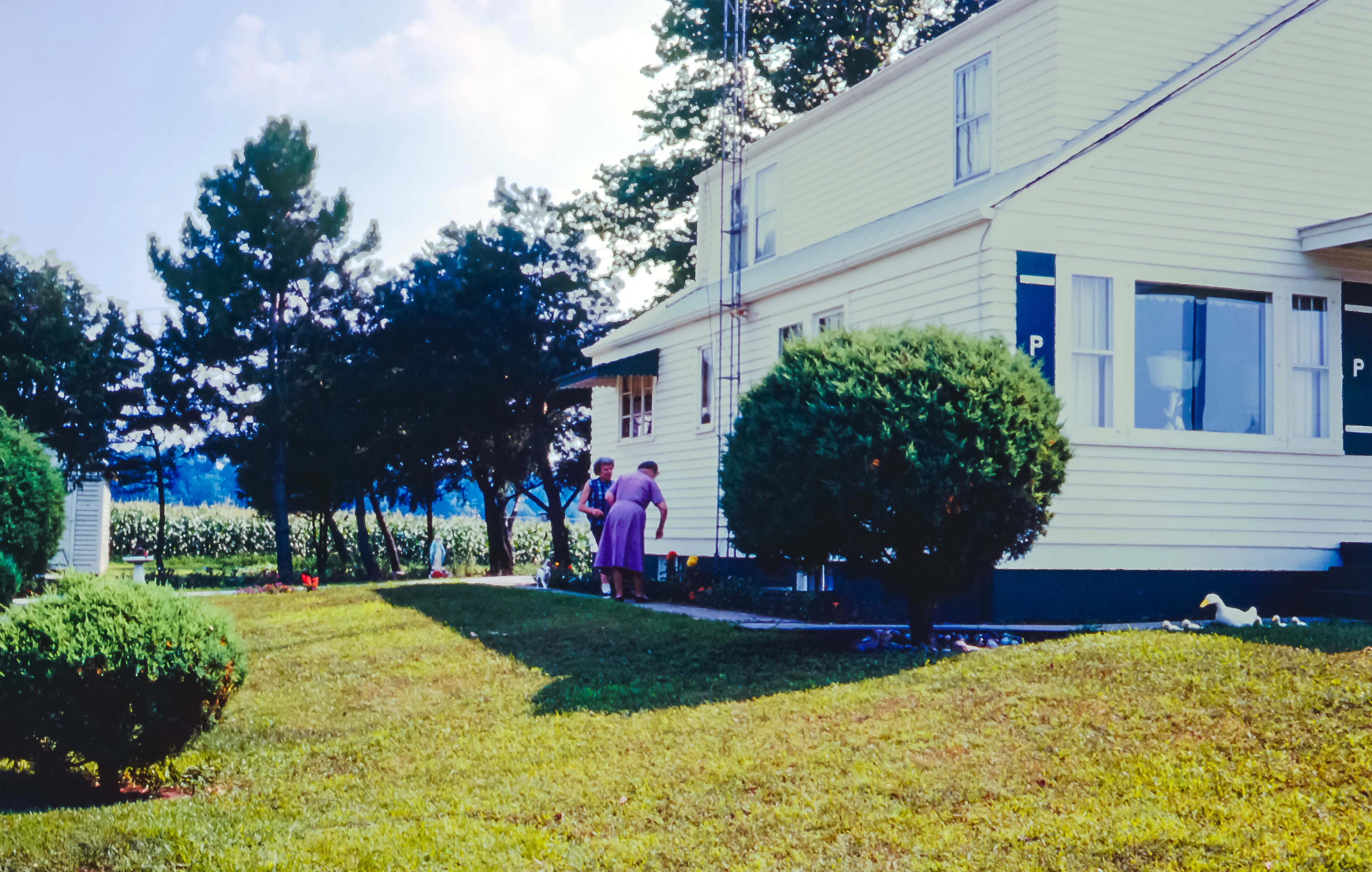 Volume IV: Back From the Farm: Family Recipes and Memories of a Lifetime - Image 4