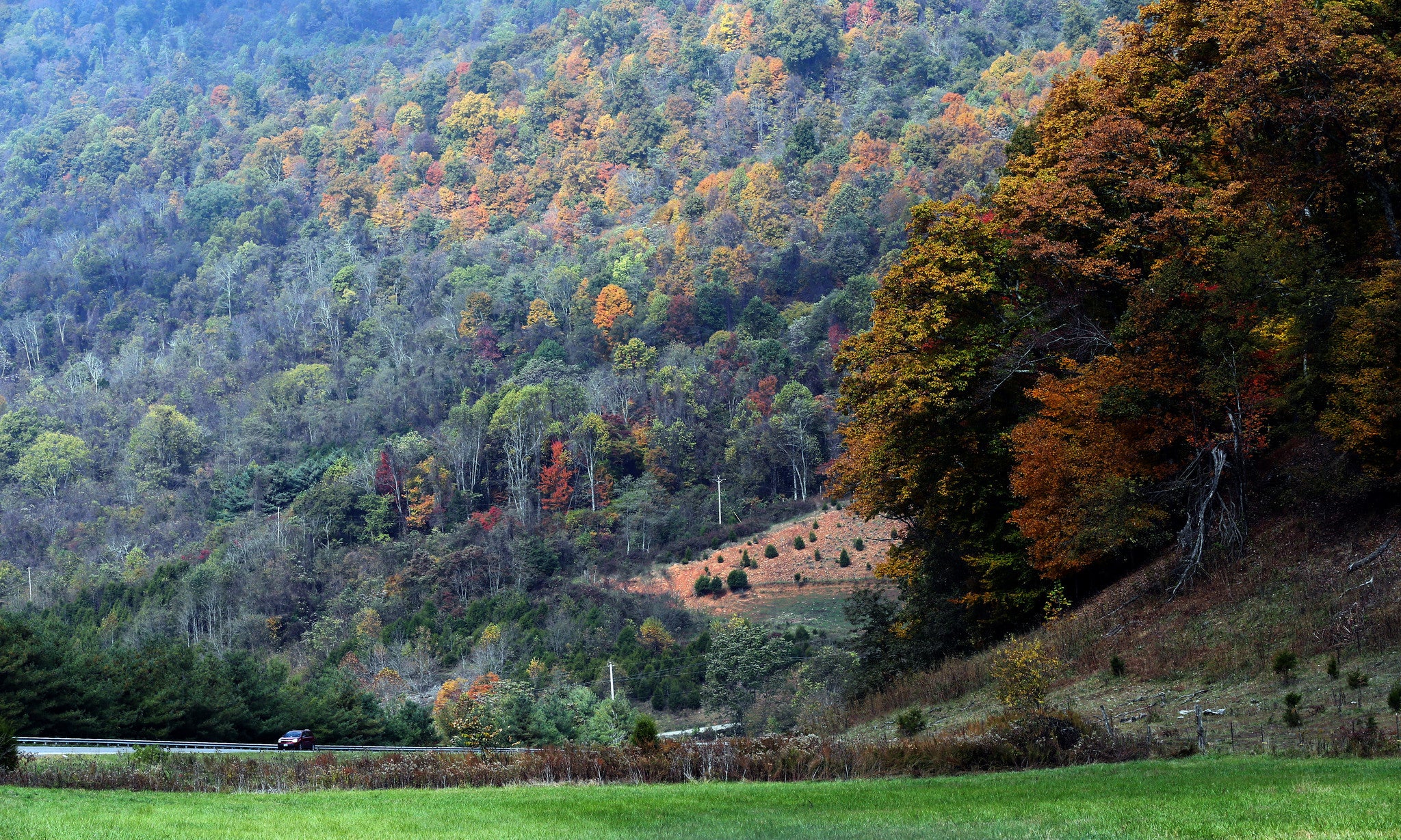 On the: Back Roads Again: More People, Places and Pie Around Virginia - Image 11