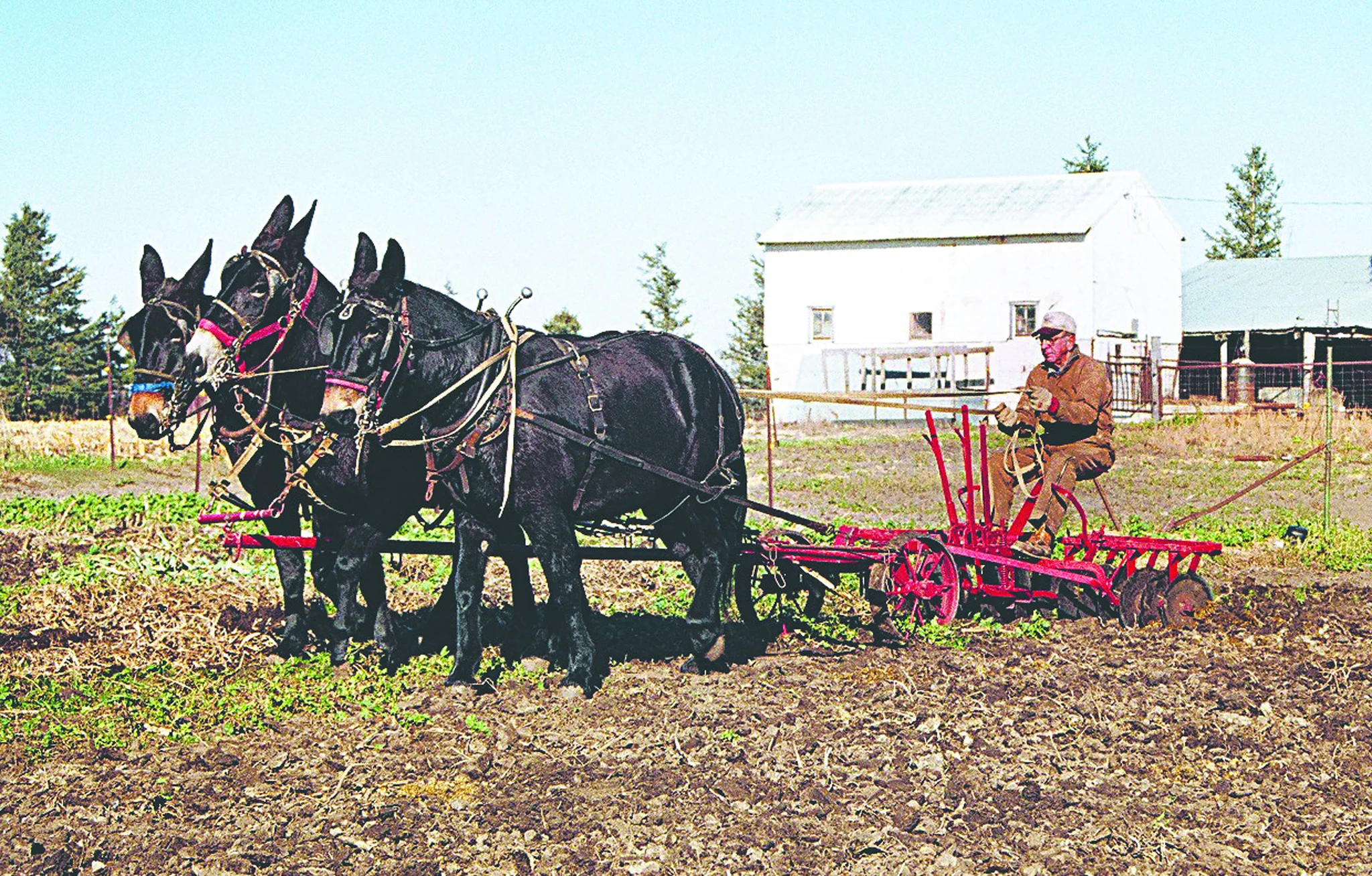 Best of Back Roads: Stories of hidden gems in Minnesota and Iowa compiled by The Land - Image 4