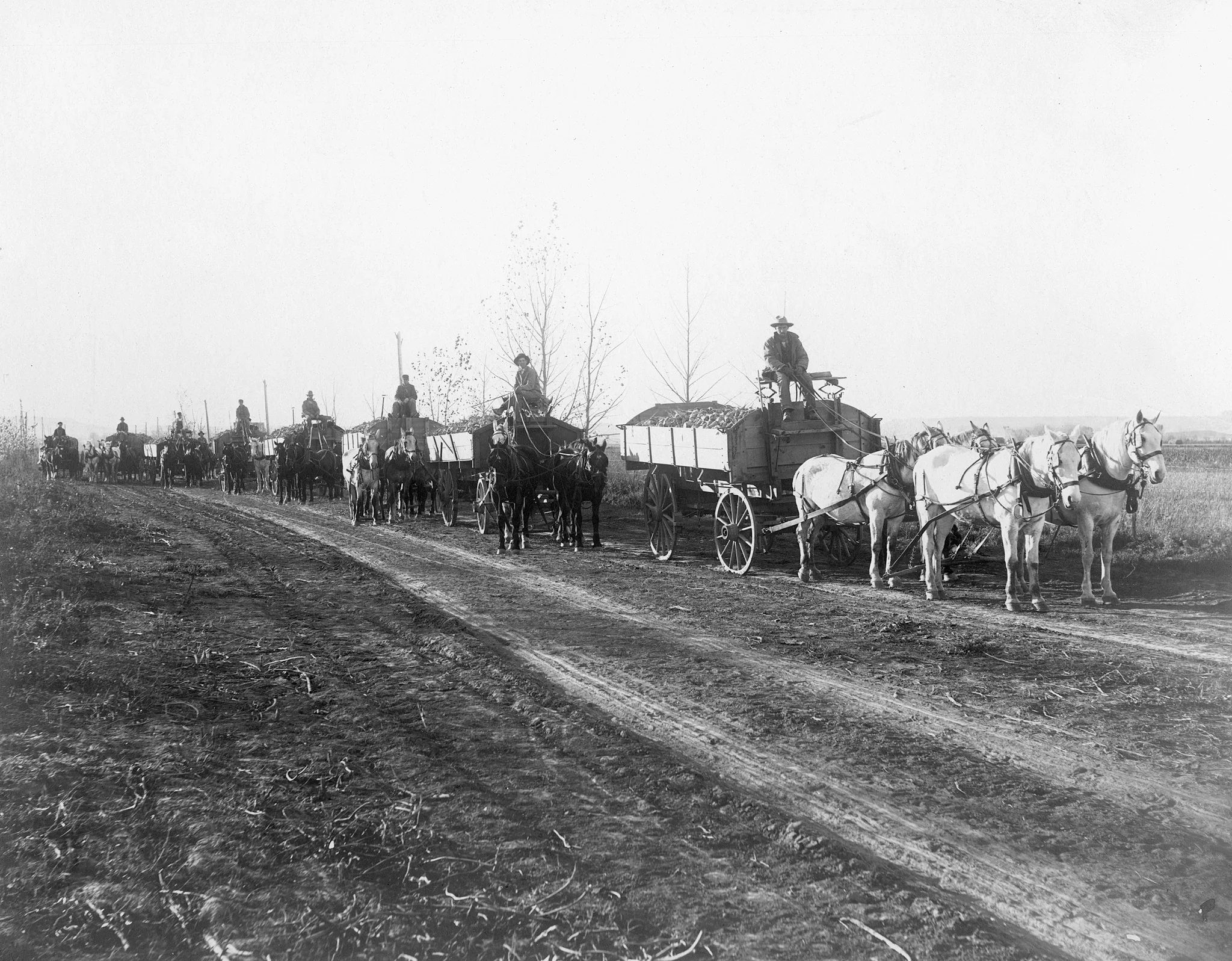 Billings Memories: The Early Years - Image 8