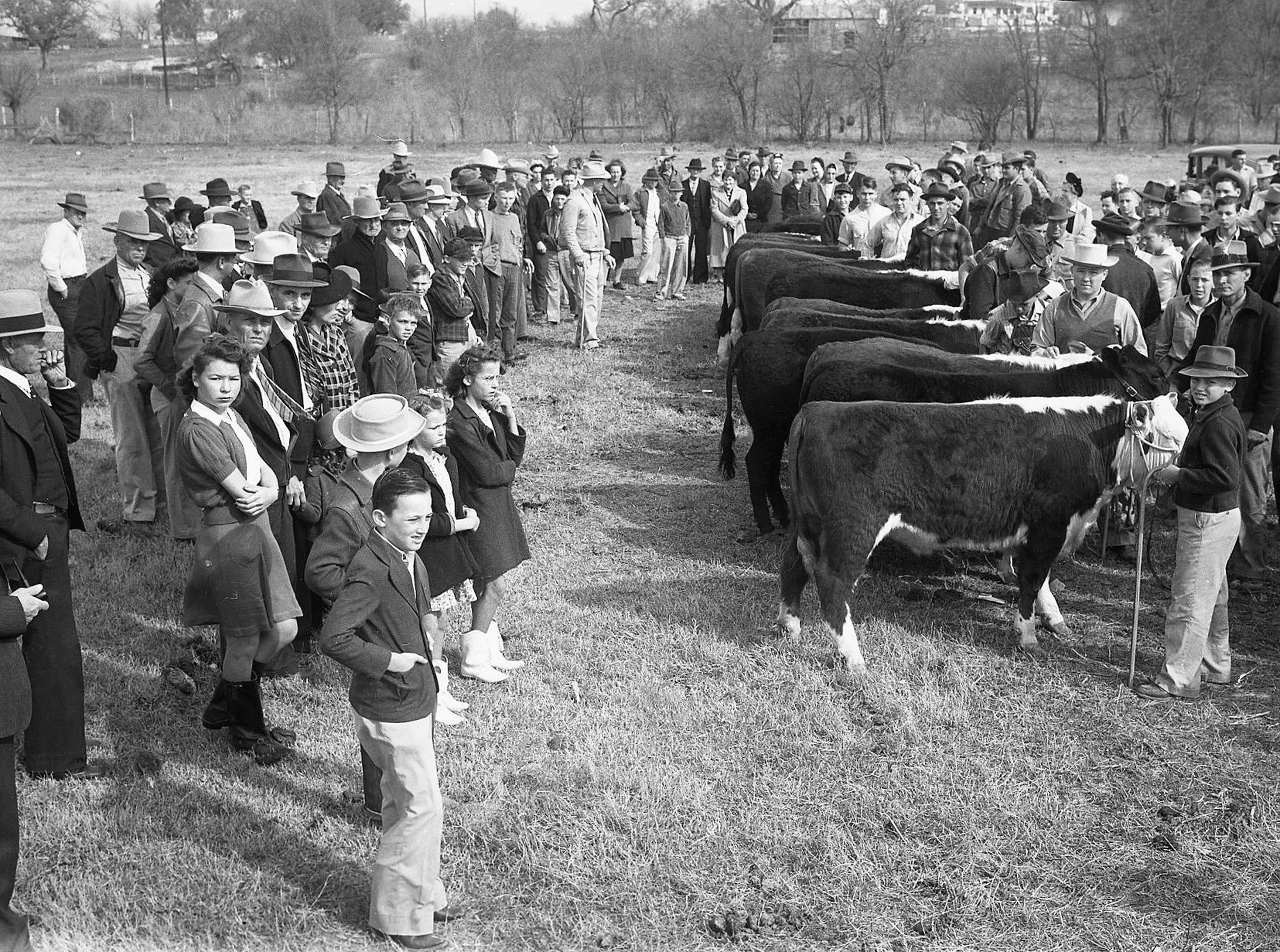 Brazos County Memories: A Photographic History of the Early Years - Image 11