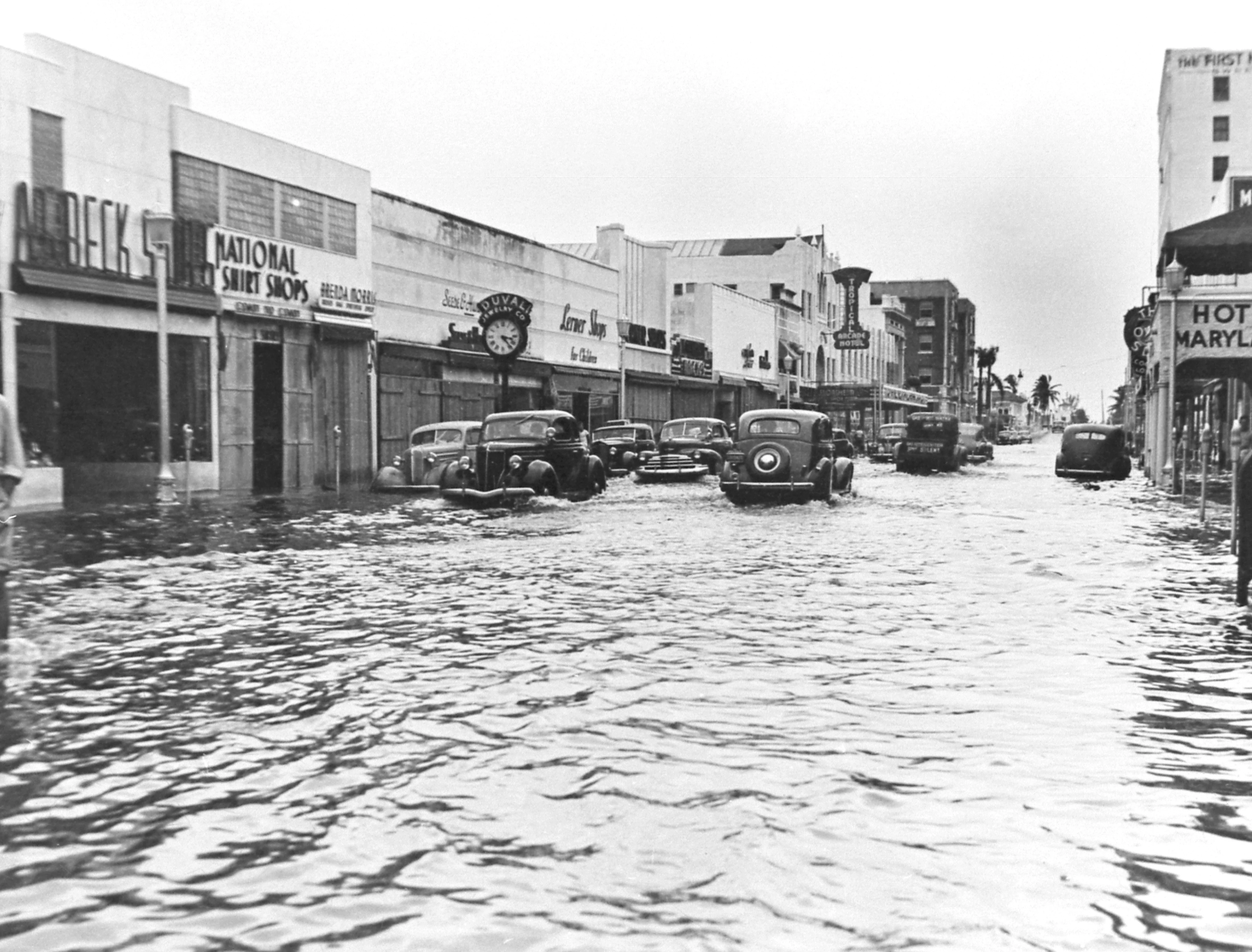 Looking Back: A Photographic History of Broward and Palm Beach Counties - Image 3