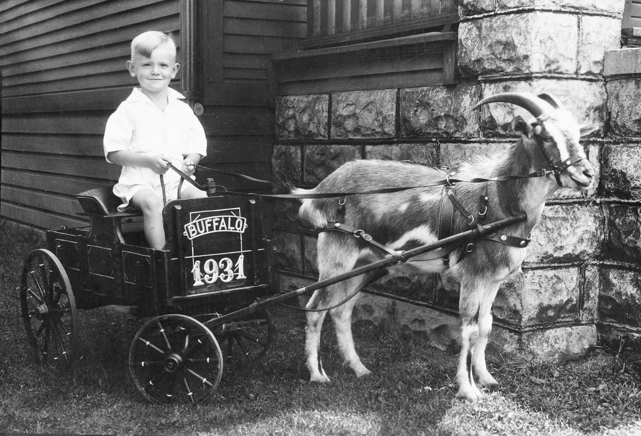 Buffalo Memories II: The Early Years and the 1940s - Image 4