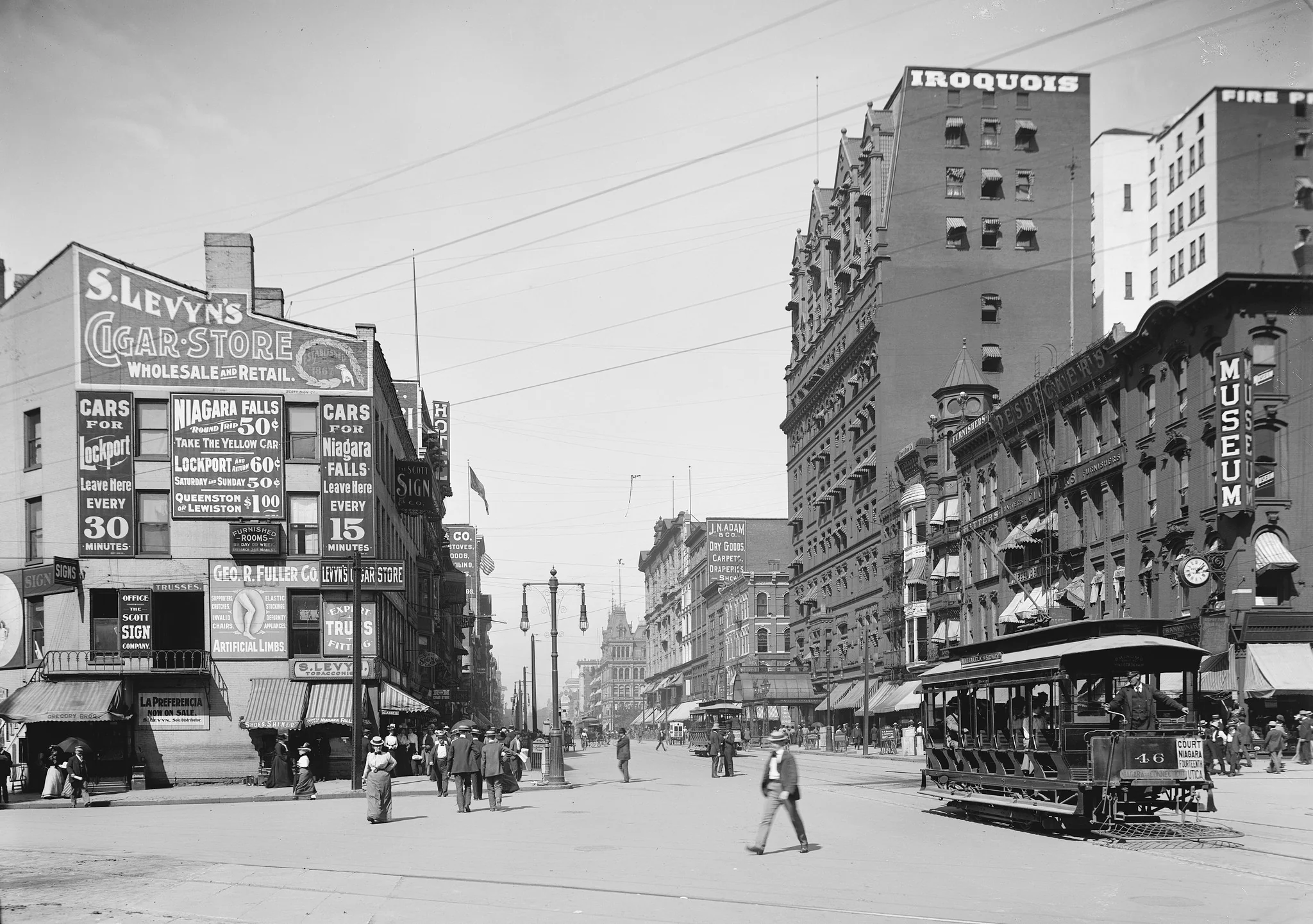 Buffalo Memories: The Early Years - Image 2
