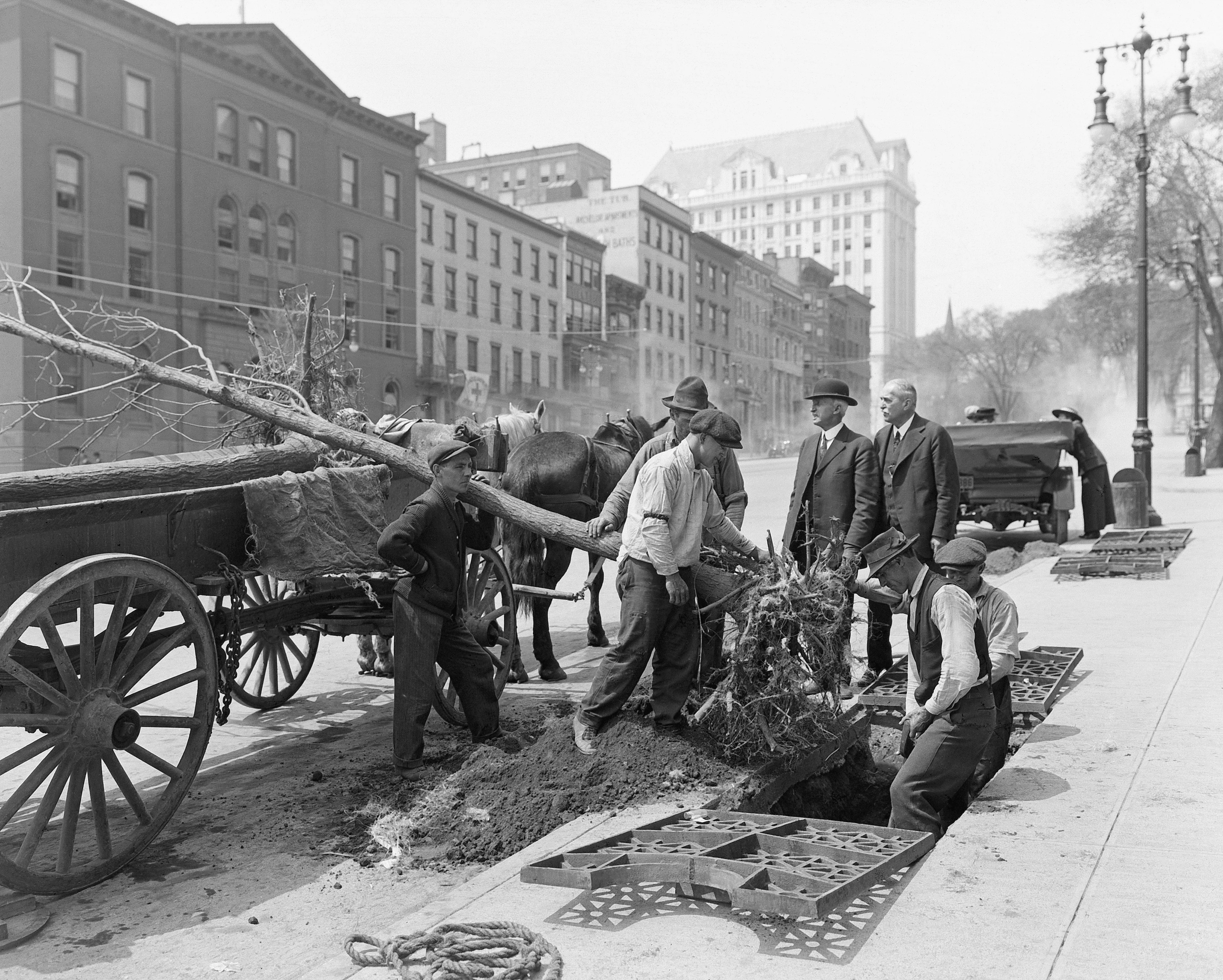 Capital Region Memories: A Pictorial History of the mid-1800s through the 1930s - Image 13