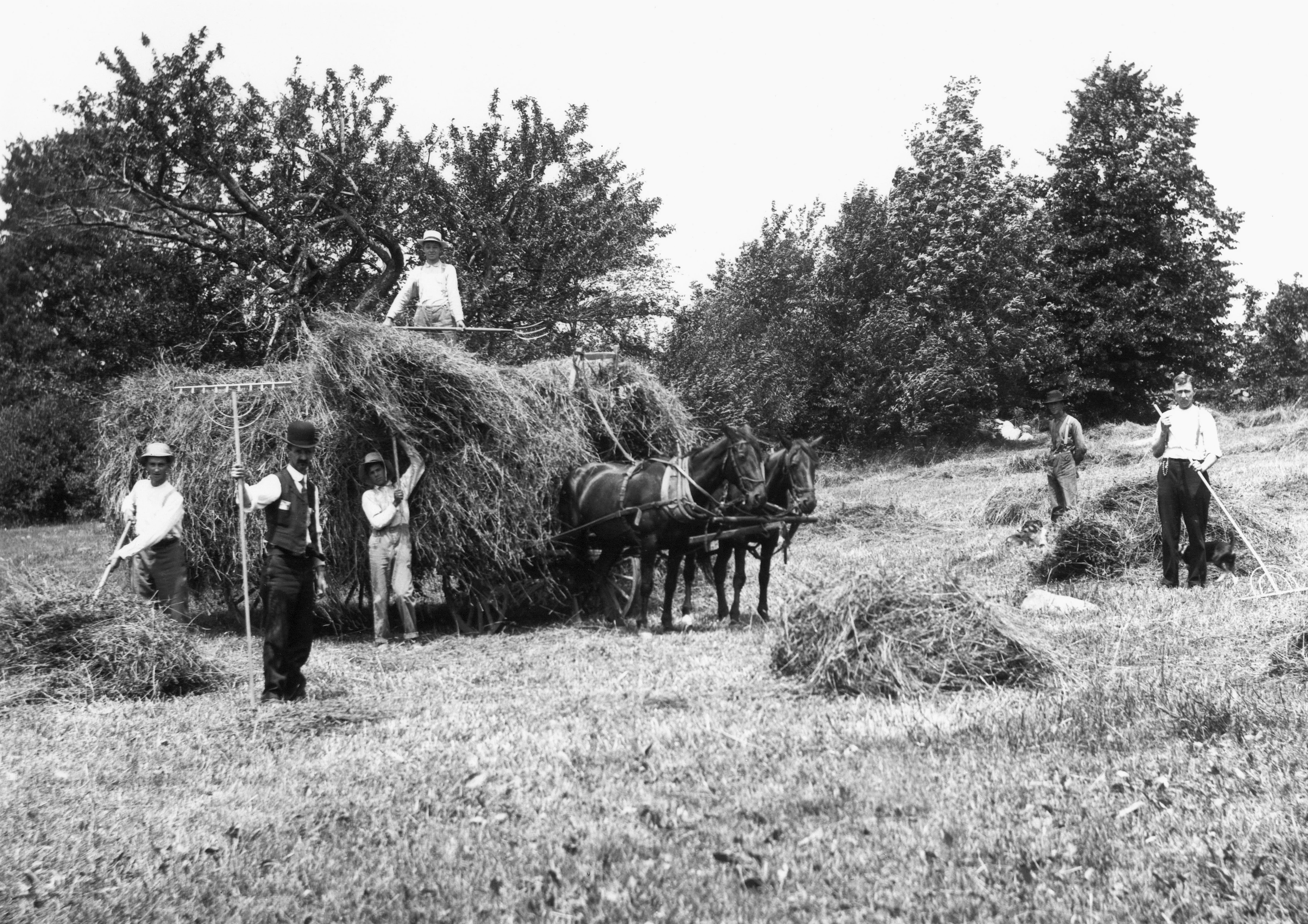 Capital Region Memories: A Pictorial History of the mid-1800s through the 1930s - Image 4