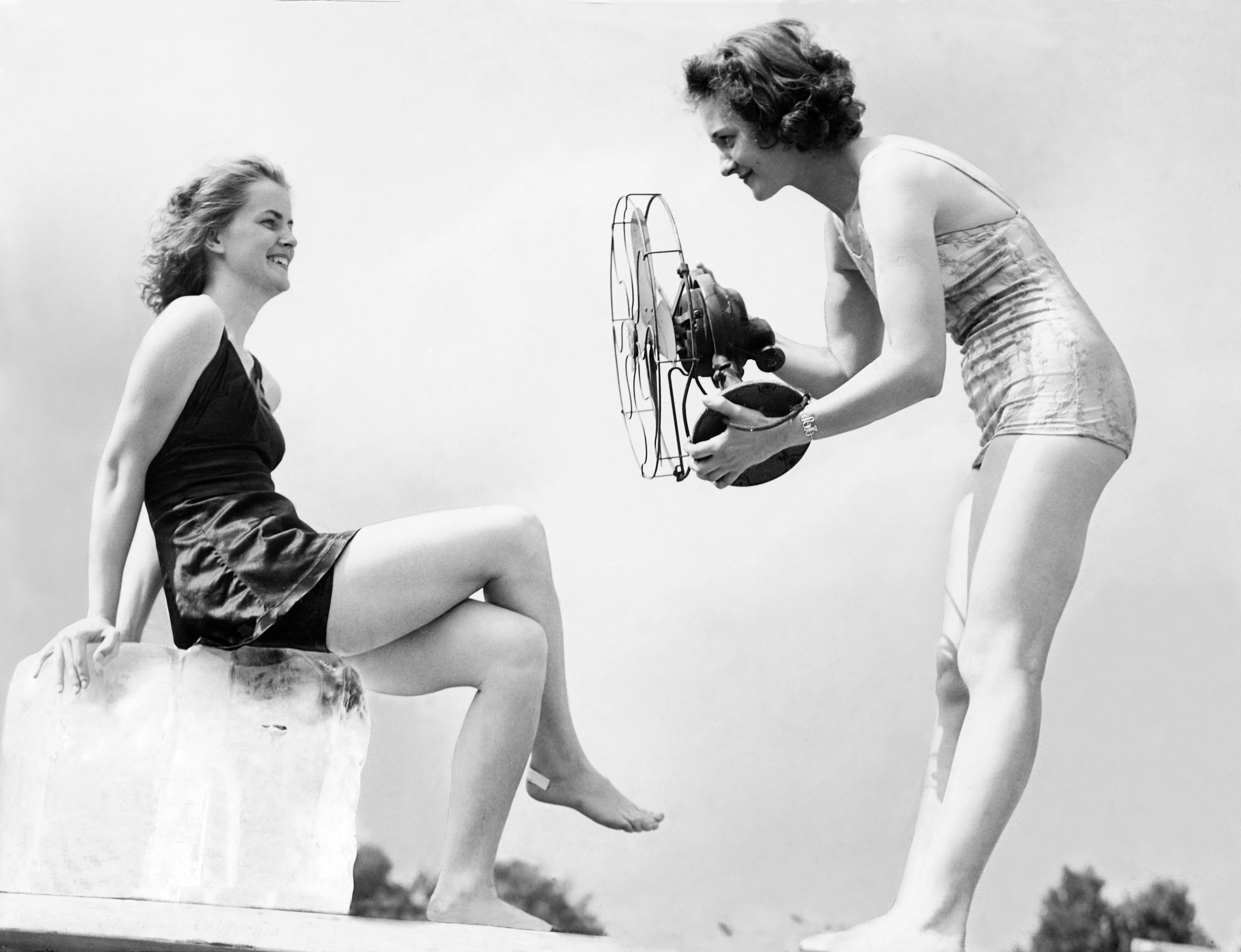 Capital Region Memories: A Pictorial History of the mid-1800s through the 1930s - Image 8