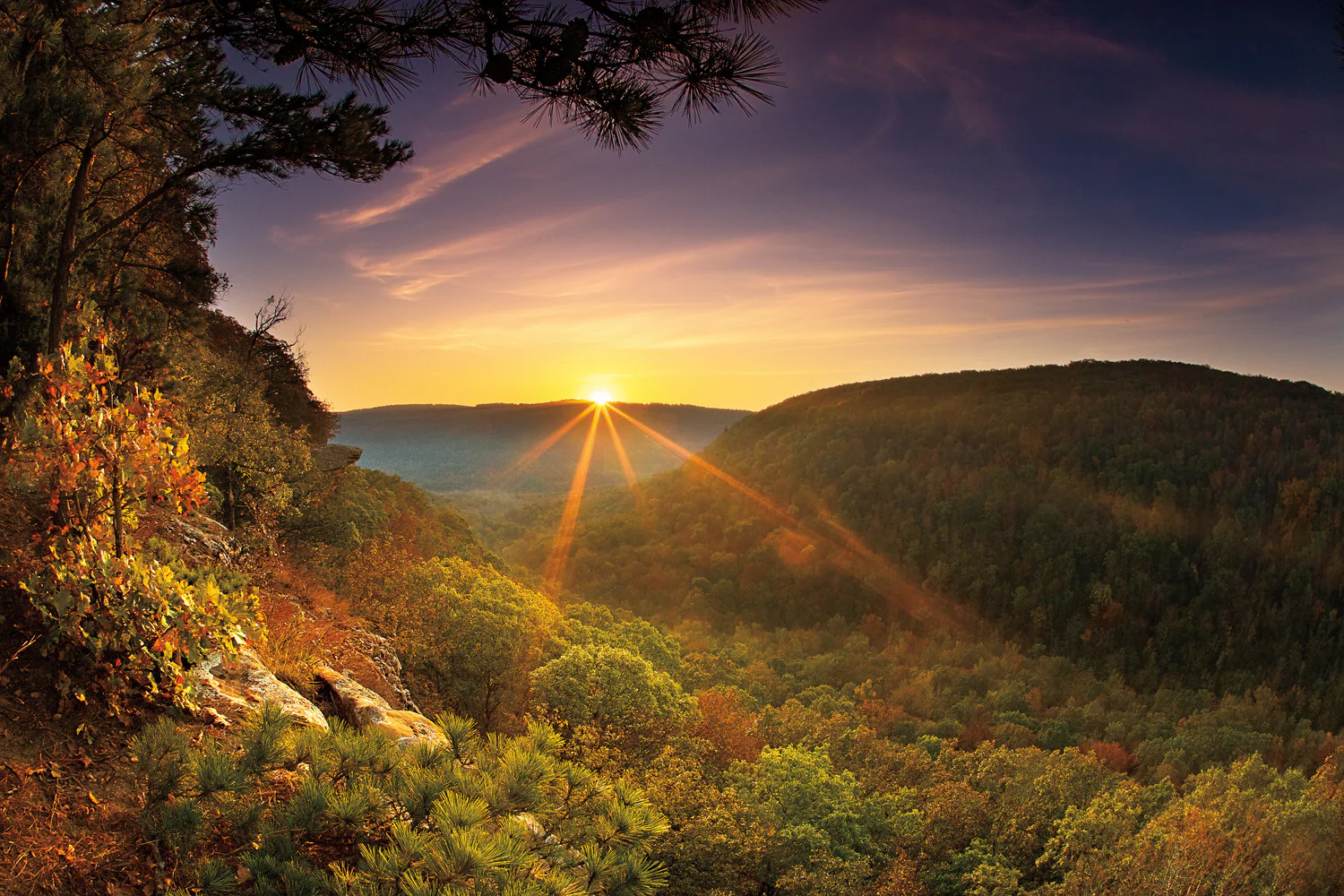 Capture Arkansas 2010: The Best of Arkansas in Photography - Image 10