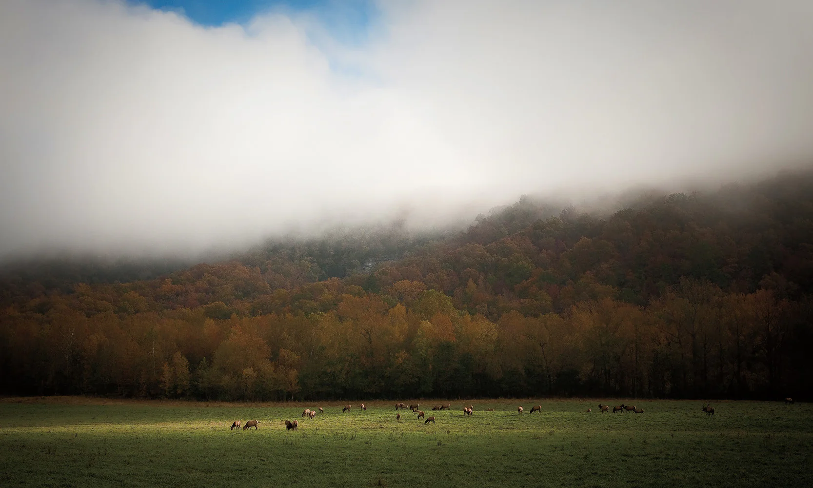 Capture Arkansas 2010: The Best of Arkansas in Photography - Image 11