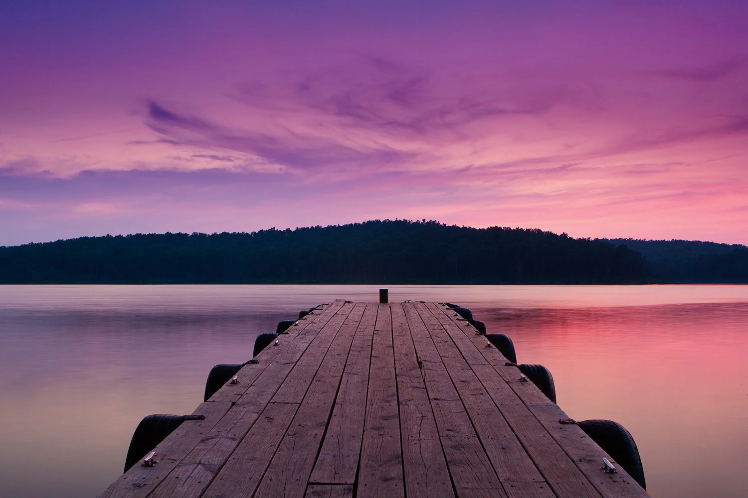 Capture Arkansas 2010: The Best of Arkansas in Photography - Image 12