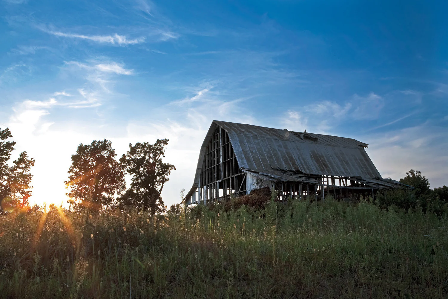 Capture Arkansas 2010: The Best of Arkansas in Photography - Image 5