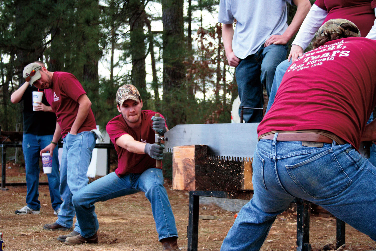 Capture Arkansas 2010: The Best of Arkansas in Photography - Image 9