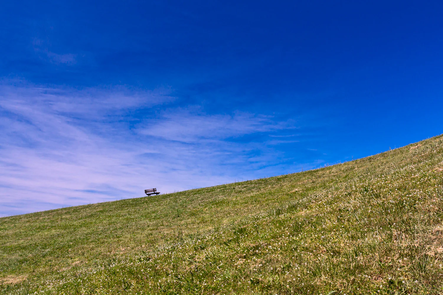 Capture Cincinnati IV: The Best of the Greater Cincinnati area in Photography - Image 7