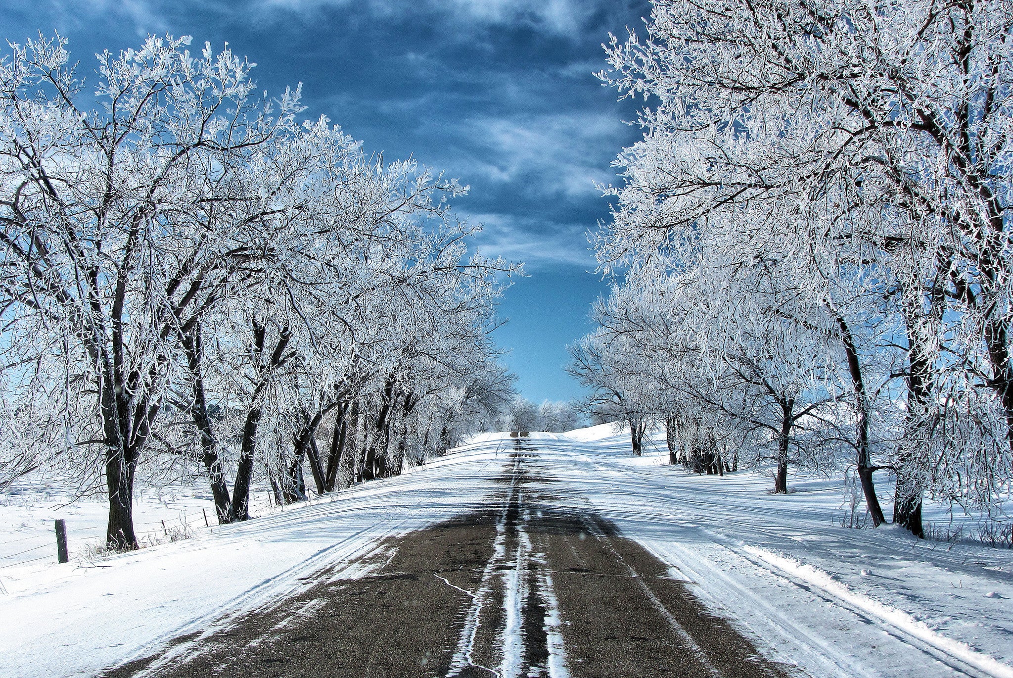 Capture Dakota:The Dakotas Through the Eyes of Dakota Photographers - Image 14