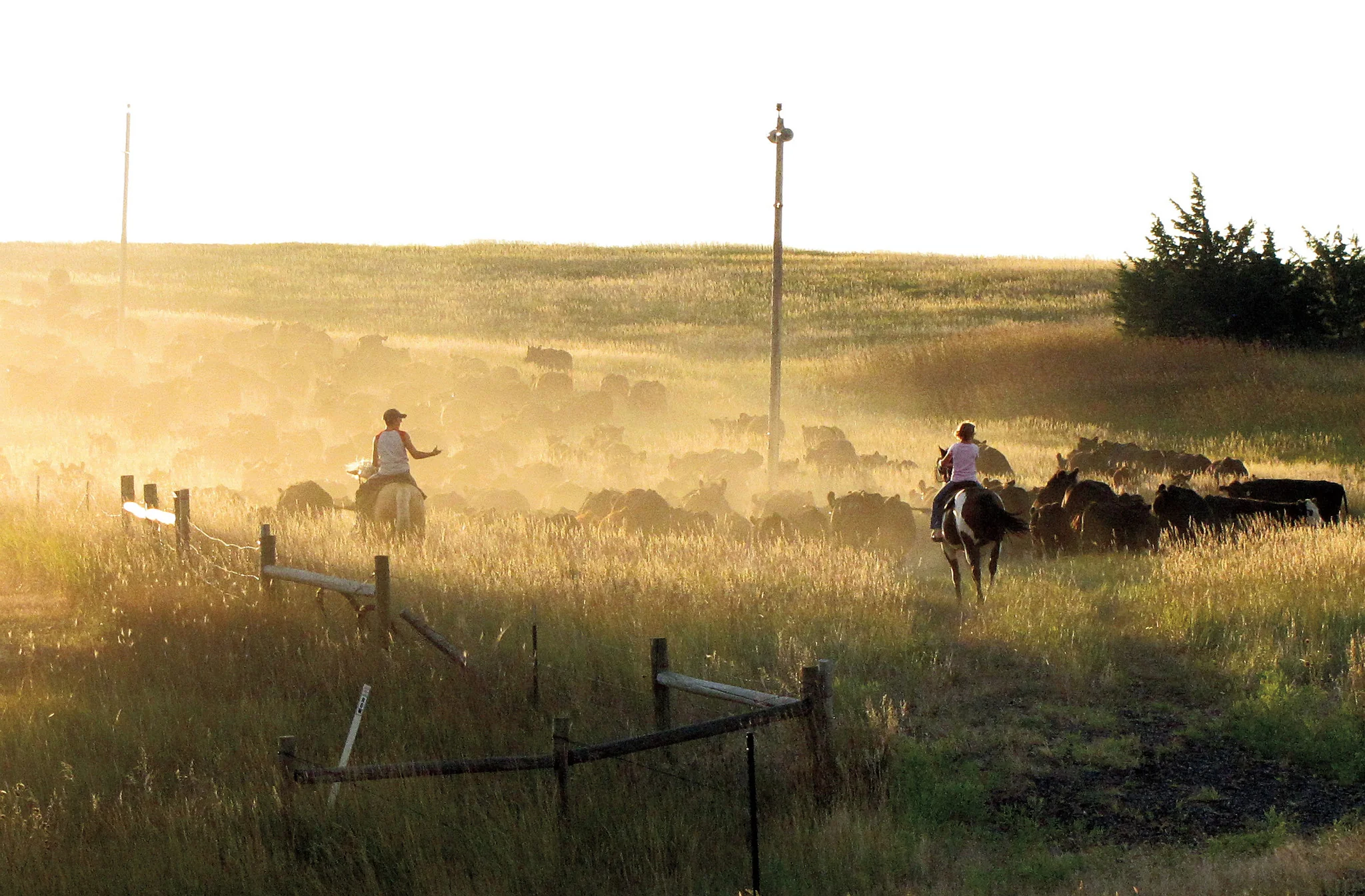 Capture Dakota:The Dakotas Through the Eyes of Dakota Photographers - Image 2