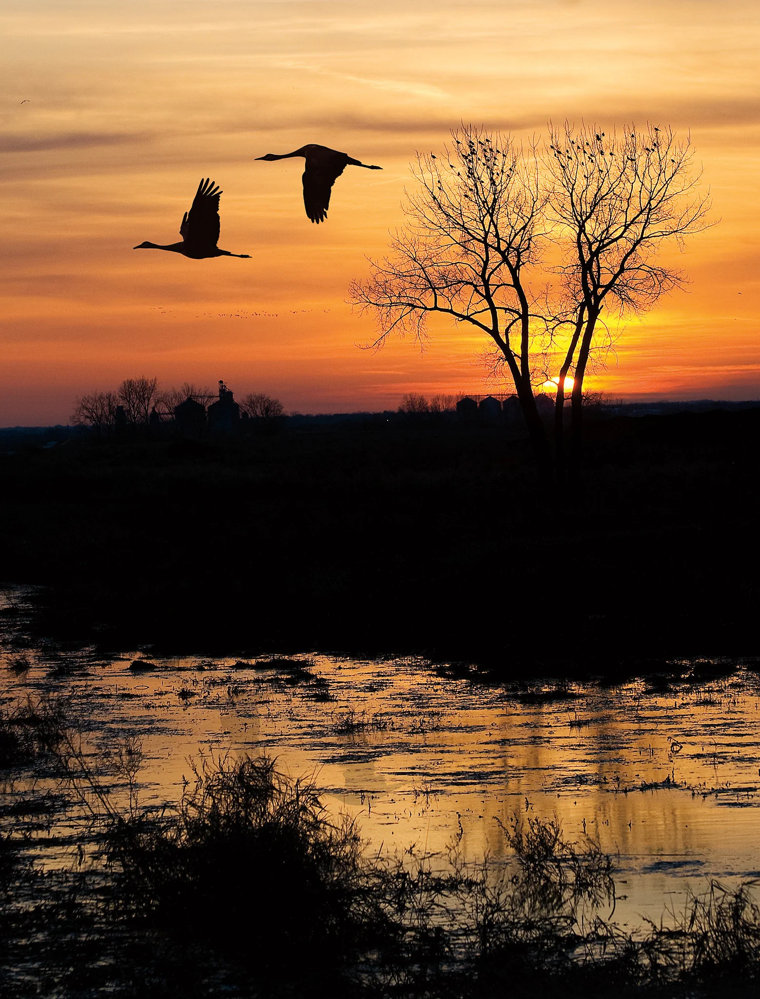 Capture Dakota:The Dakotas Through the Eyes of Dakota Photographers - Image 5