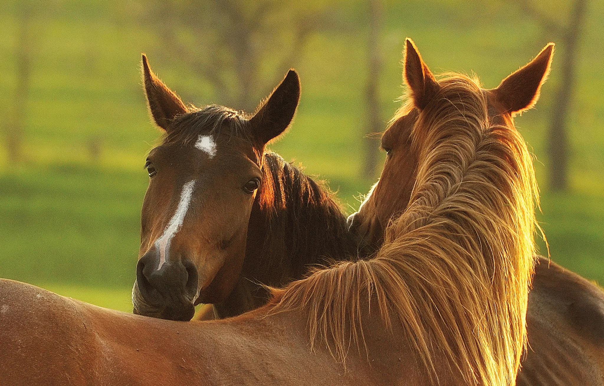 Capture Dakota:The Dakotas Through the Eyes of Dakota Photographers - Image 8