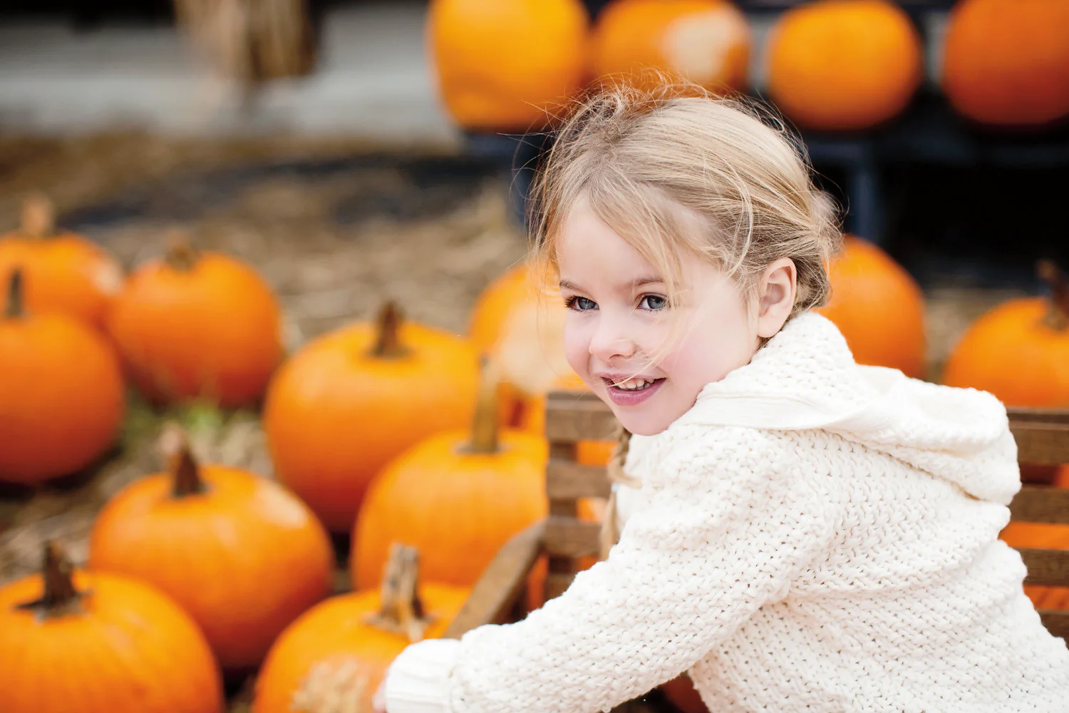 Capture Greater Lehigh Valley: The Best of the Lehigh Valley in Photography - Image 10