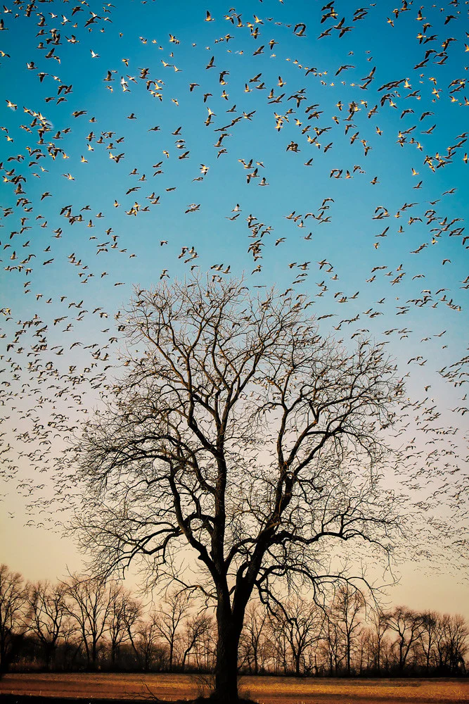 Capture Greater Lehigh Valley: The Best of the Lehigh Valley in Photography - Image 7