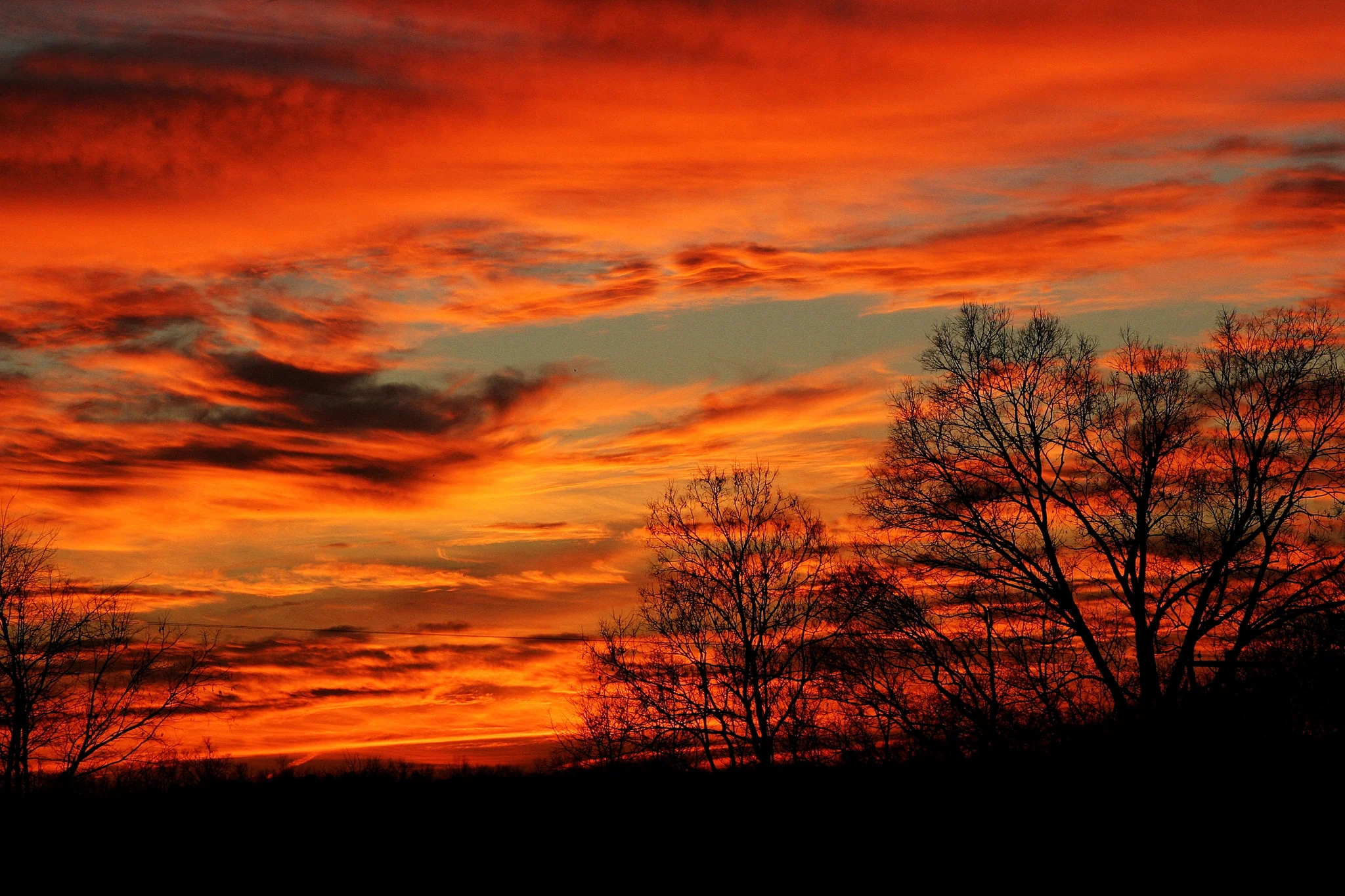 Capture Kentuckiana - Image 13