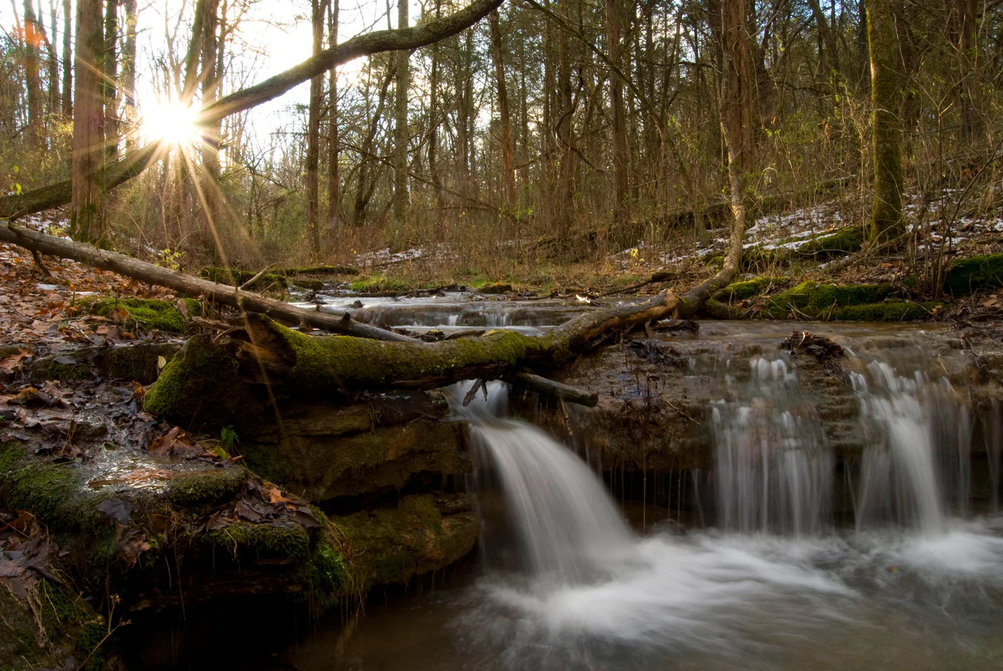 Capture Kentuckiana - Image 5