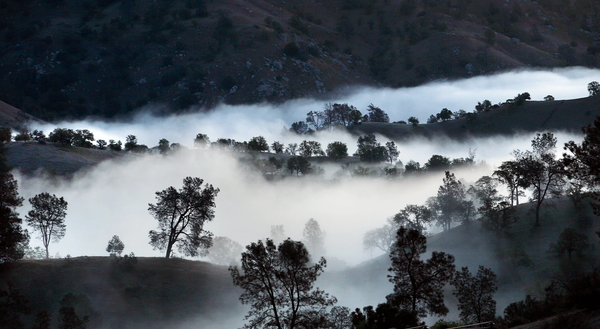 Capture Kern County: Kern County by Kern County Photographers - Image 5