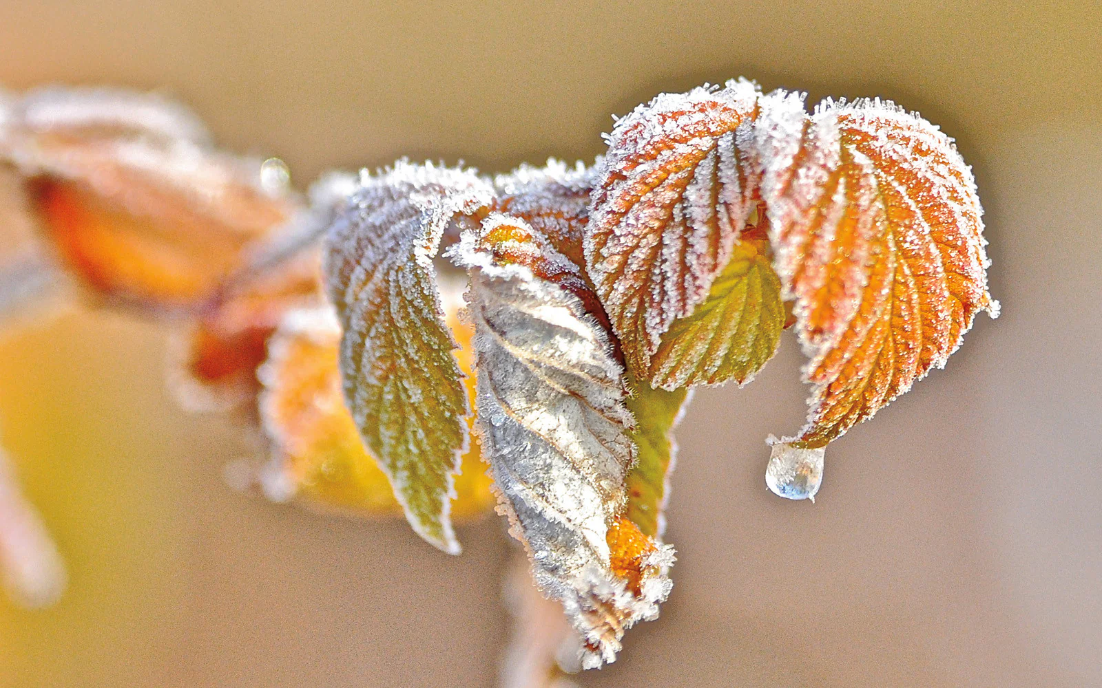 Capture Minnesota II: Minnesota Through the Eyes of Minnesota Photographers - Image 12