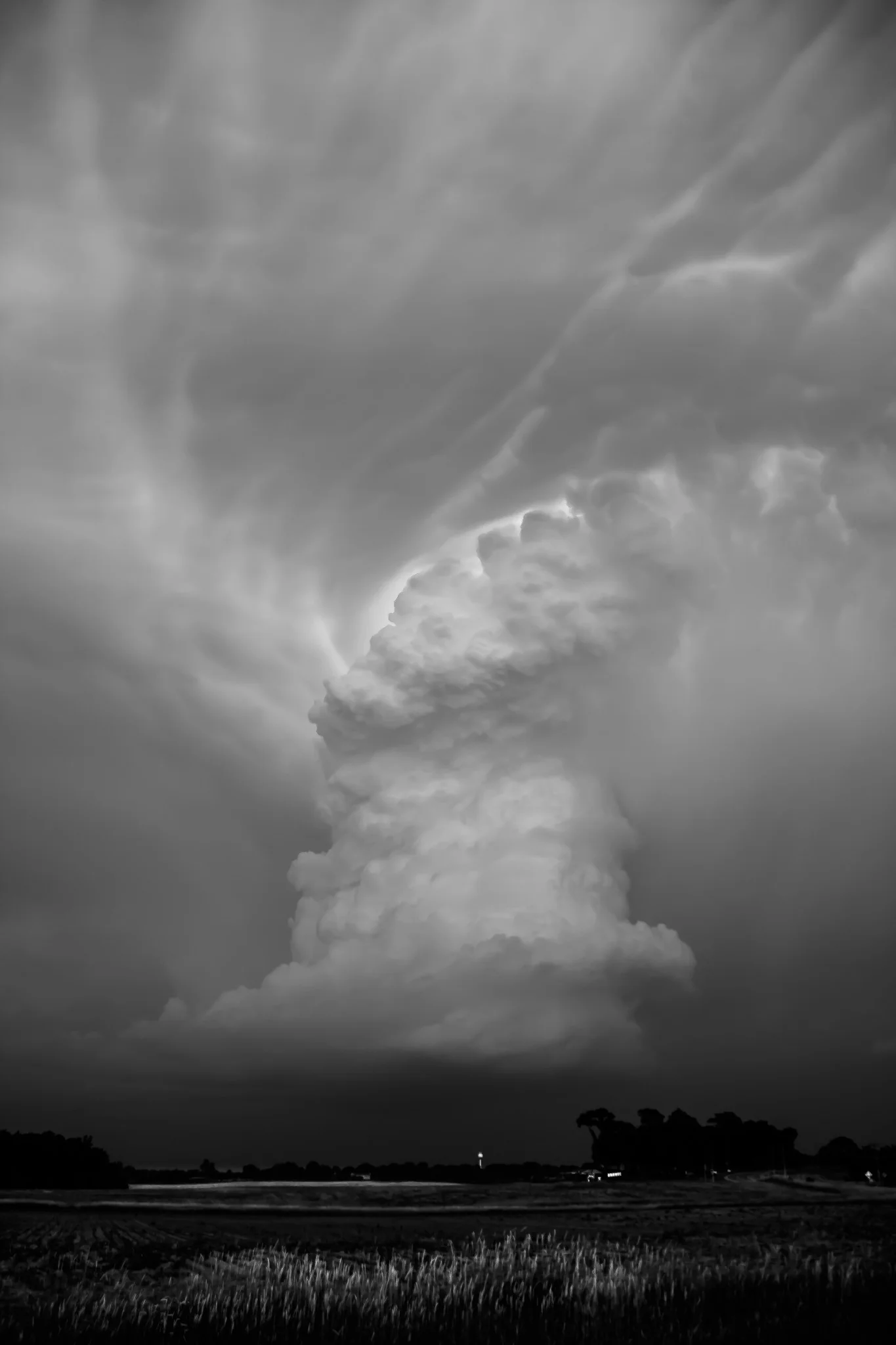 Capture Minnesota: Volume IV - Image 3