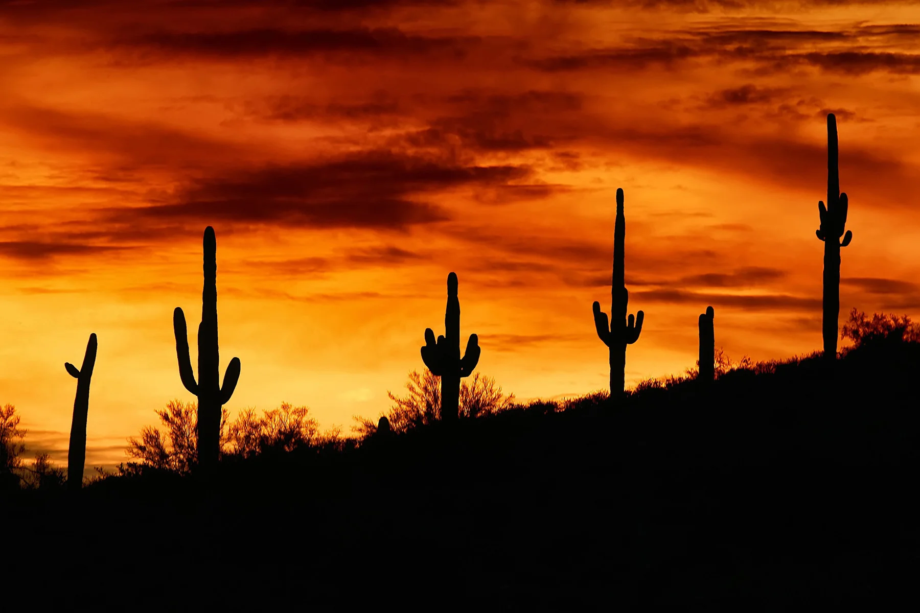 Capture My Arizona: 2015 Calendar - Image 3