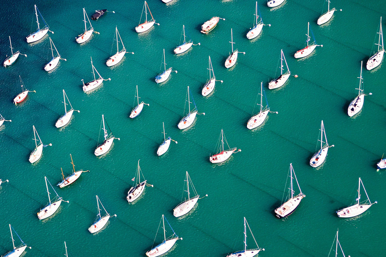 Capture My Chicago III: The Best of the Chicago Area in Photos - Image 3