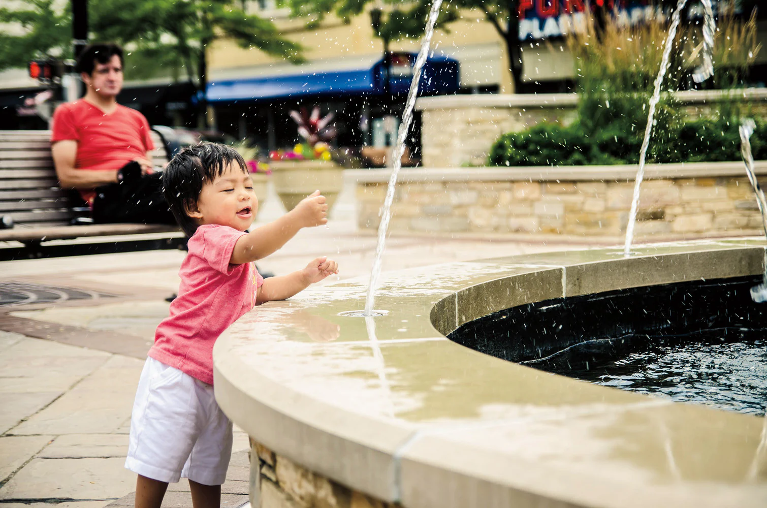 Capture My Chicago III: The Best of the Chicago Area in Photos - Image 5