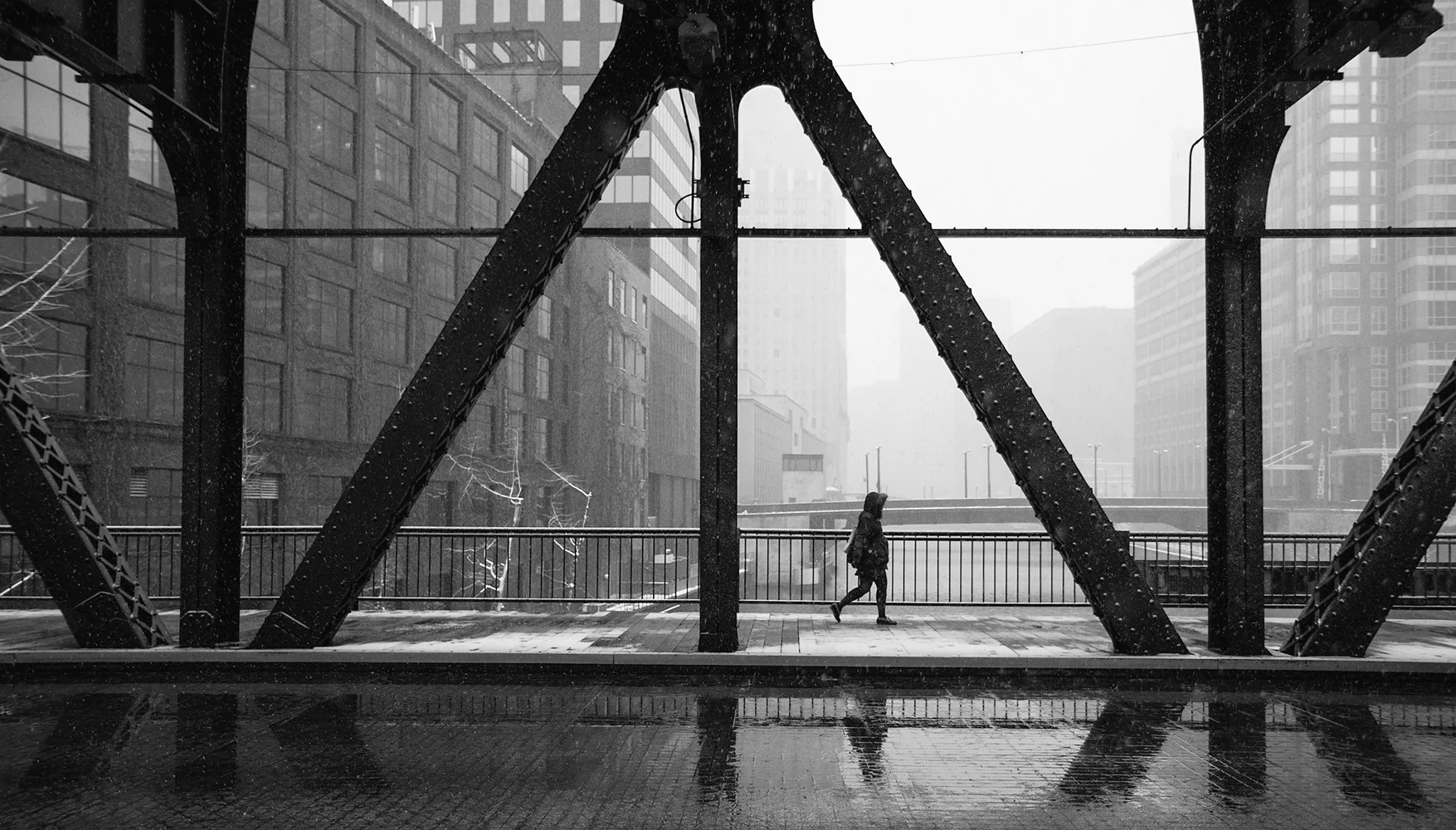 Capture My Chicago III: The Best of the Chicago Area in Photos - Image 7