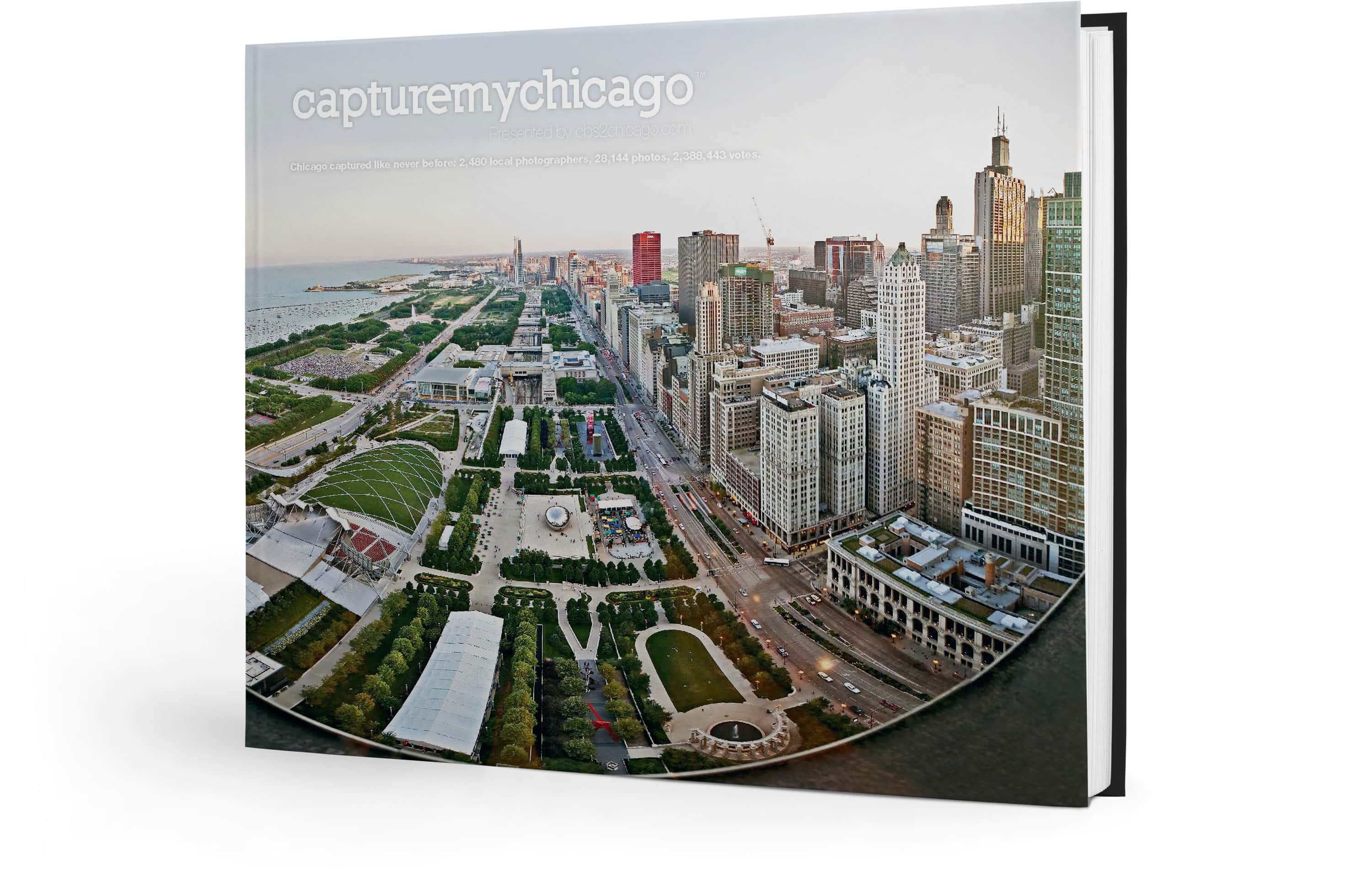 Capture My Chicago: Chicago by Chicago Photographers - Image 16