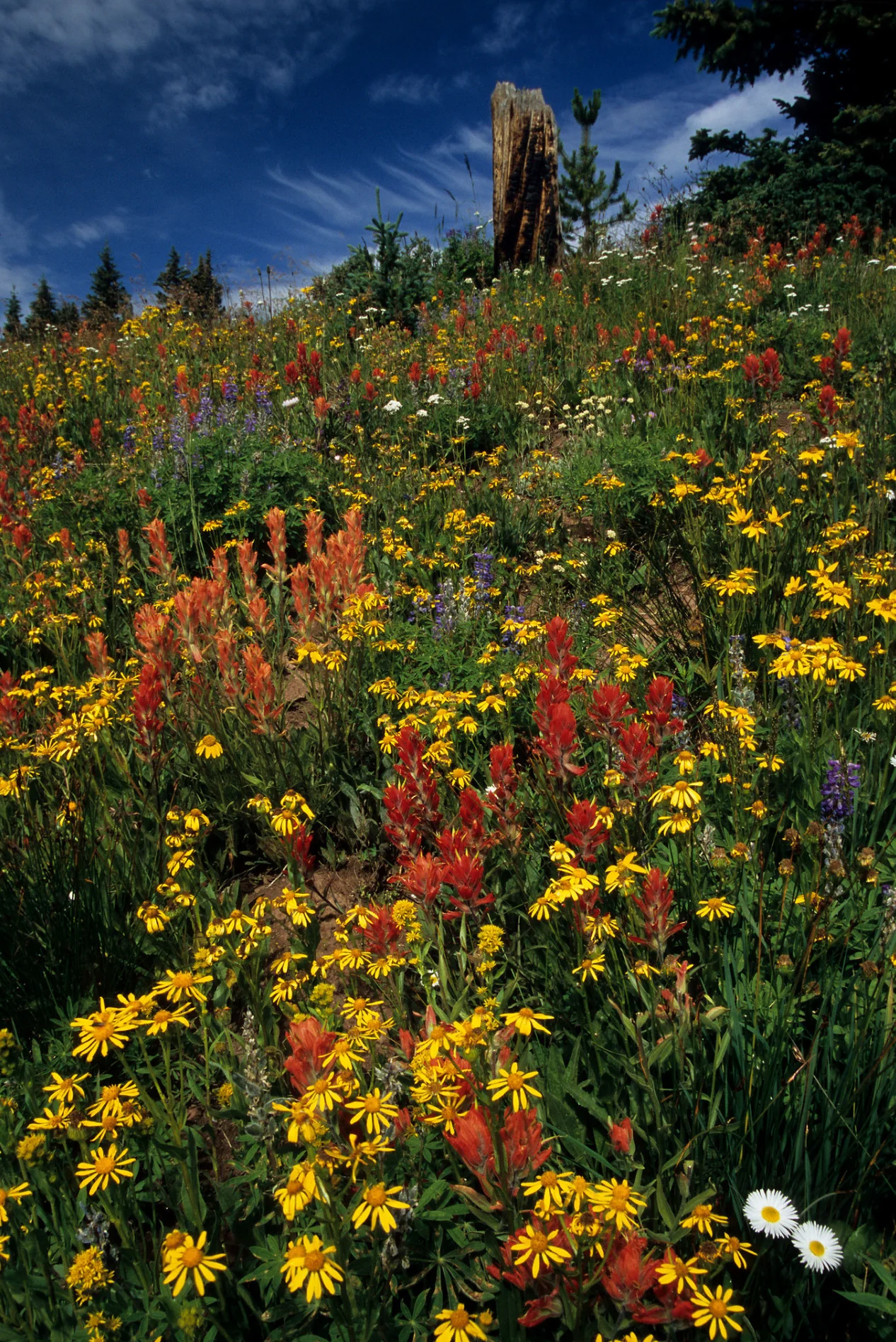 Capture My Colorado: Glenwood - Image 9