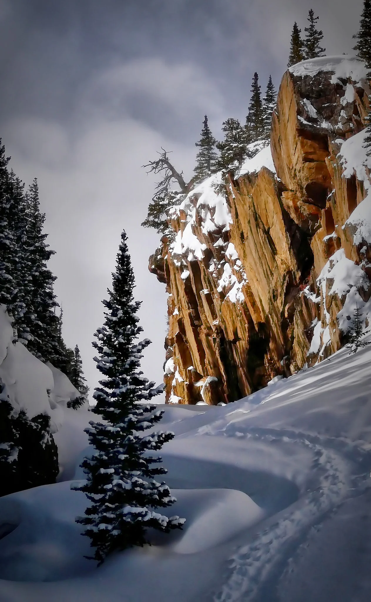 Capture My Colorado: Summit - Image 3