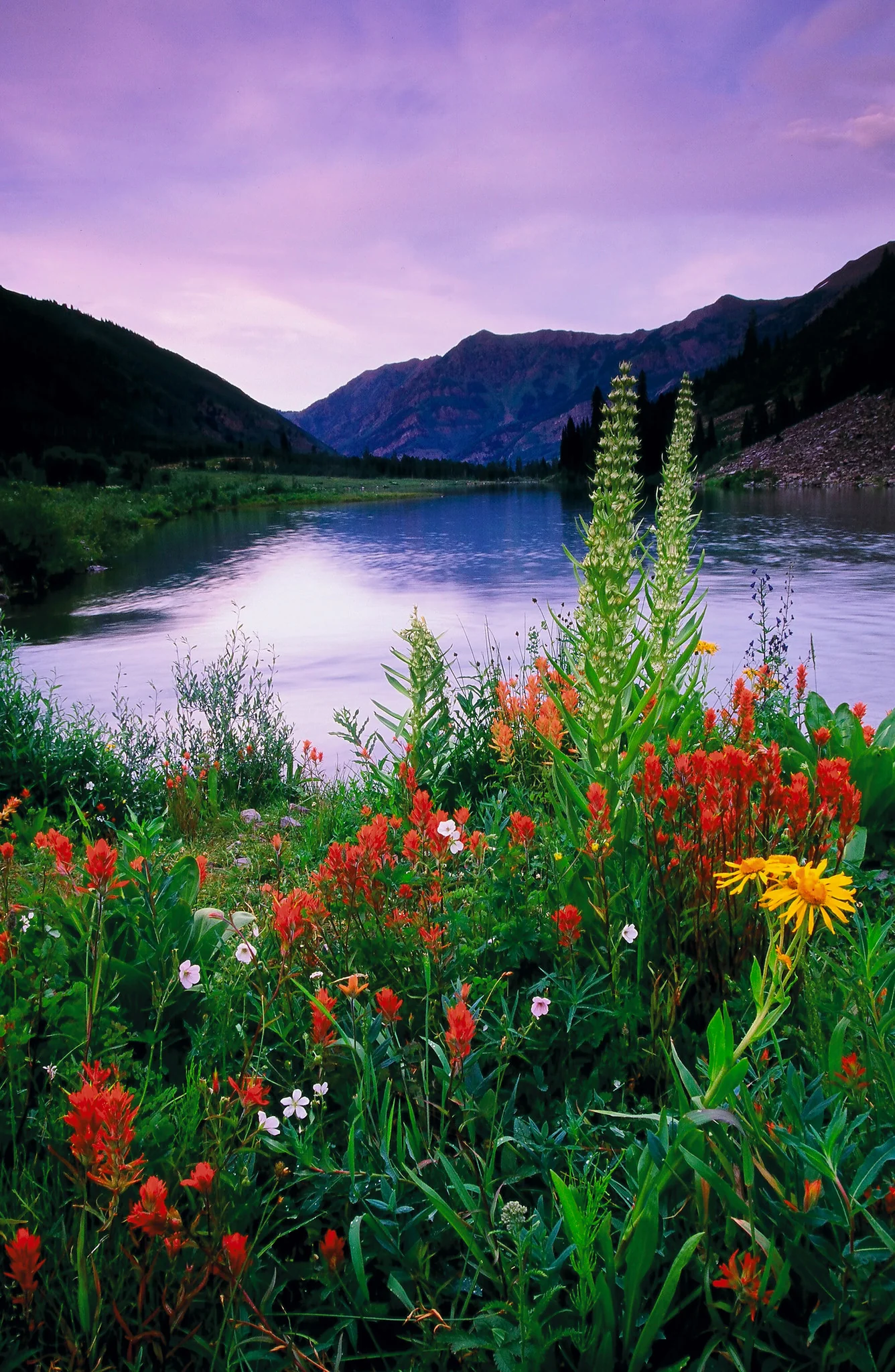 Capture My Colorado: Summit - Image 4