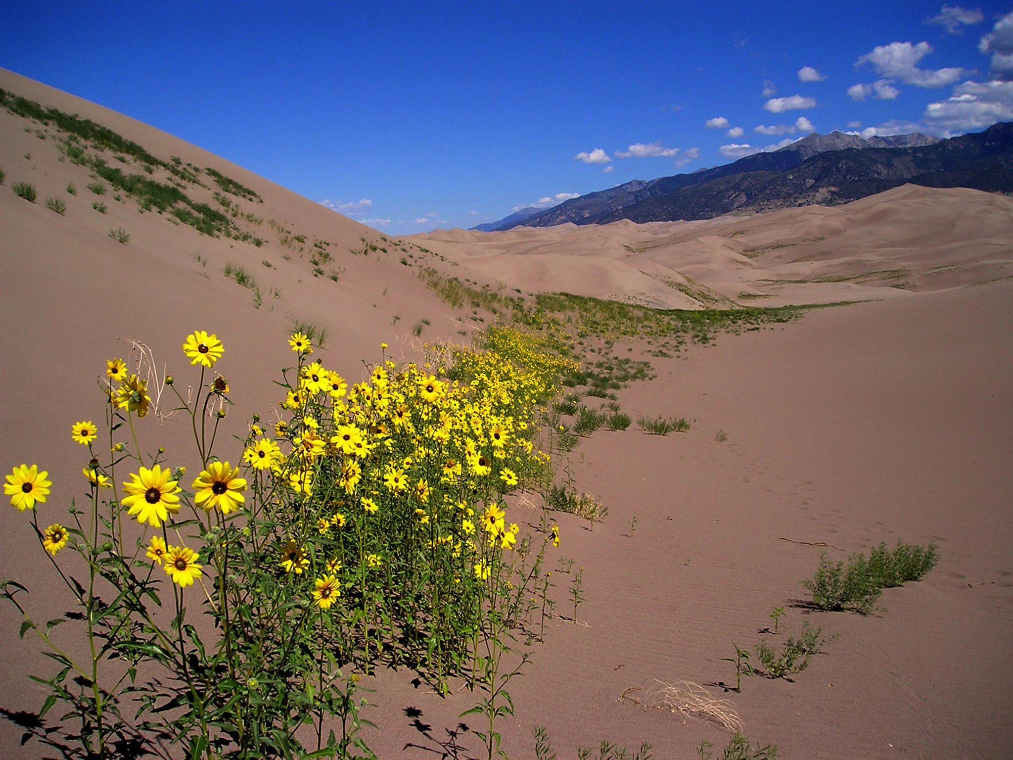 Capture My Colorado: Vail - Image 10