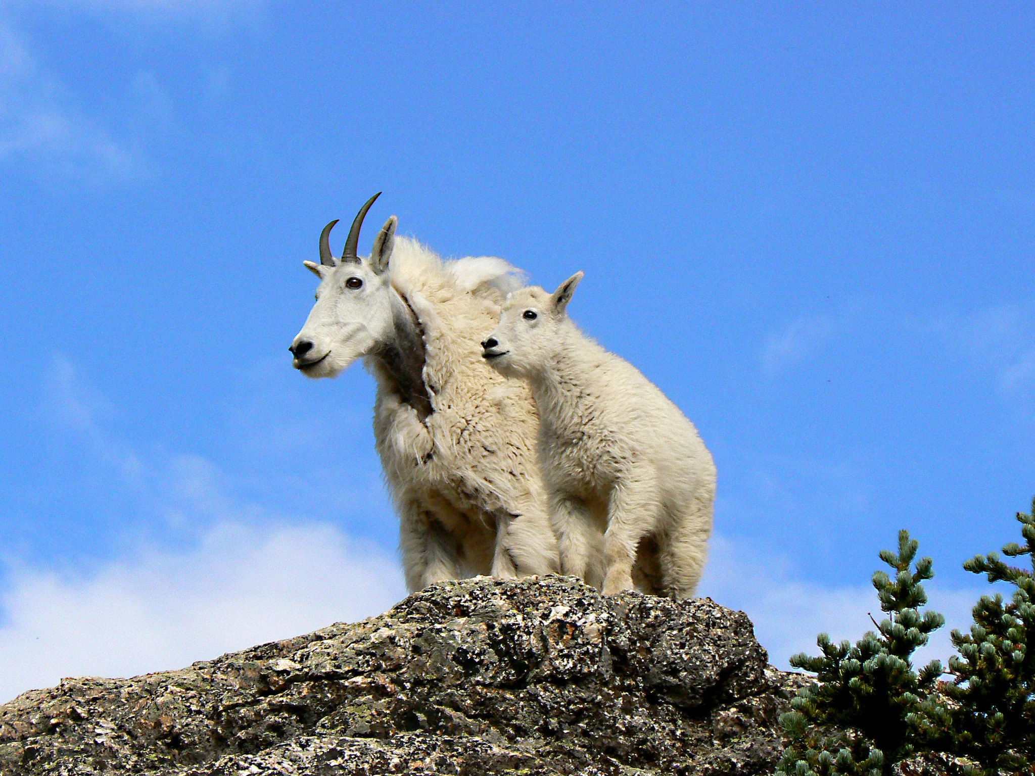 Capture My Colorado: Vail - Image 9